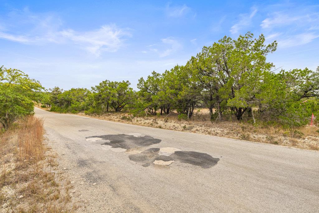 1216 Overland Stage Rd Property Photo 3