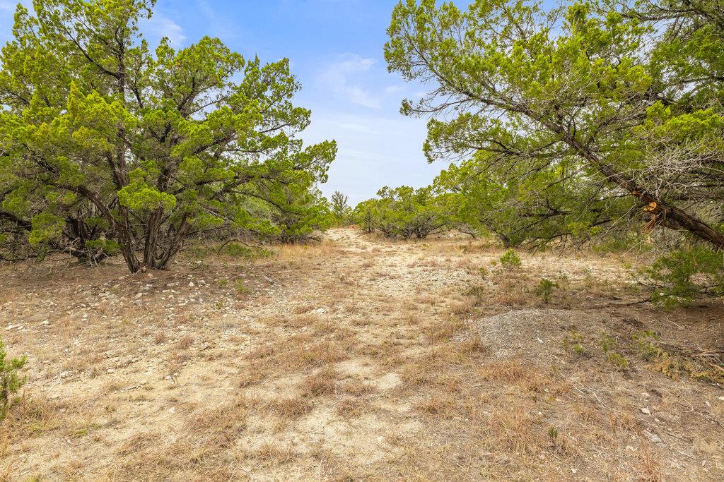 1216 Overland Stage Rd Property Photo 4