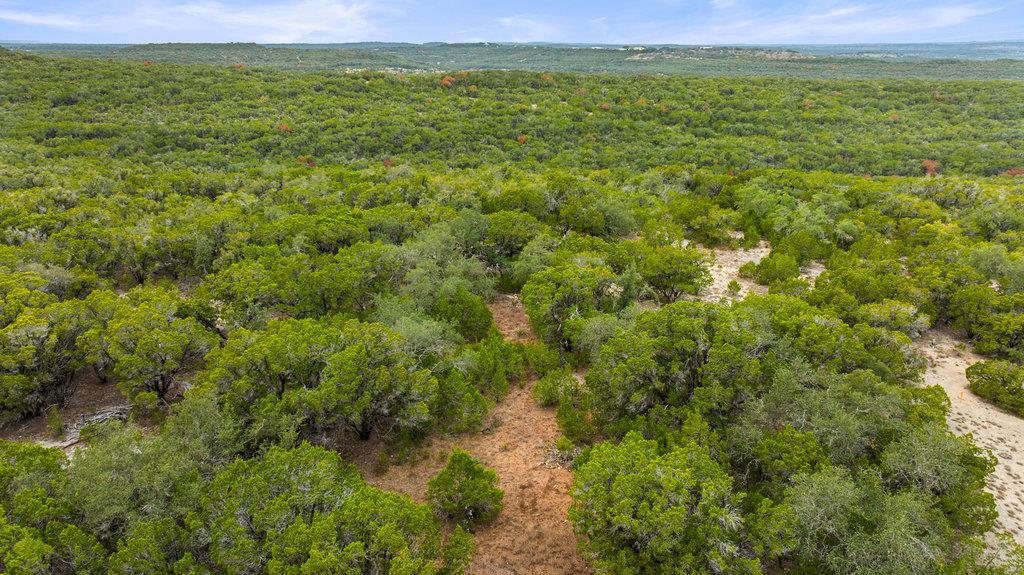 1216 Overland Stage Rd Property Photo 11