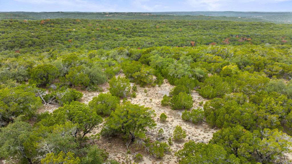 1216 Overland Stage Rd Property Photo 12
