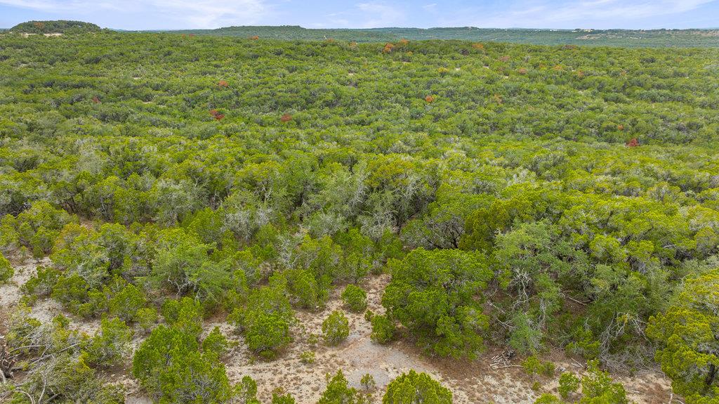 1216 Overland Stage Rd Property Photo 13