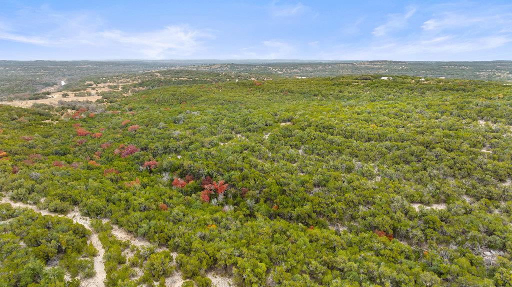 1216 Overland Stage Rd Property Photo 18