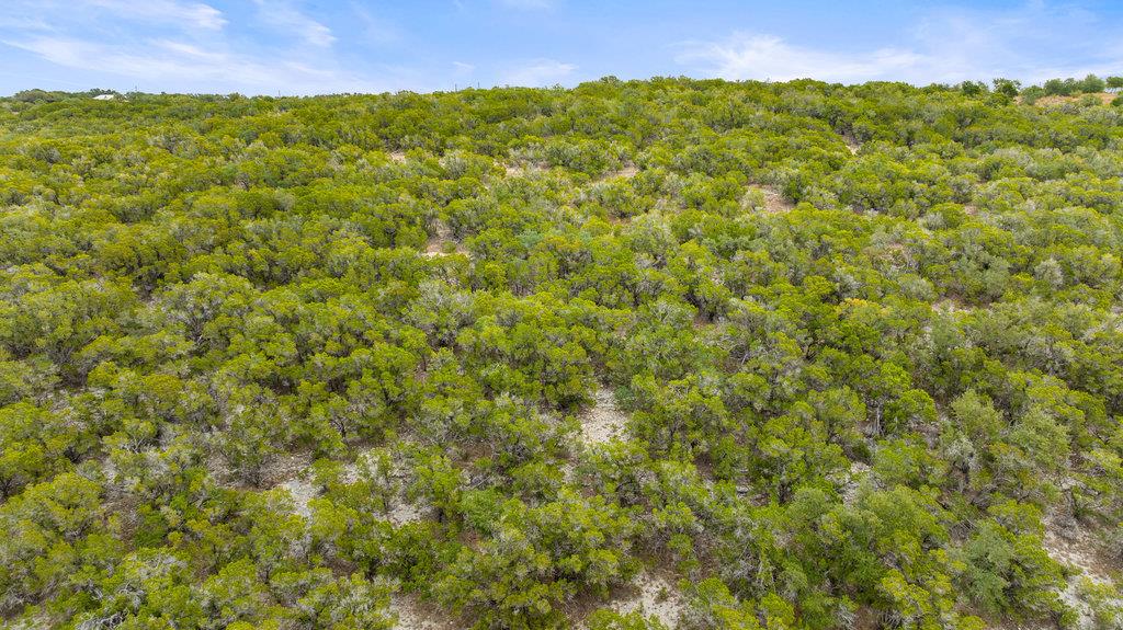 1216 Overland Stage Rd Property Photo 19