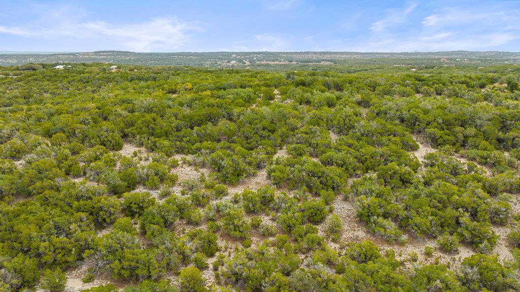 1216 Overland Stage Rd Property Photo 20