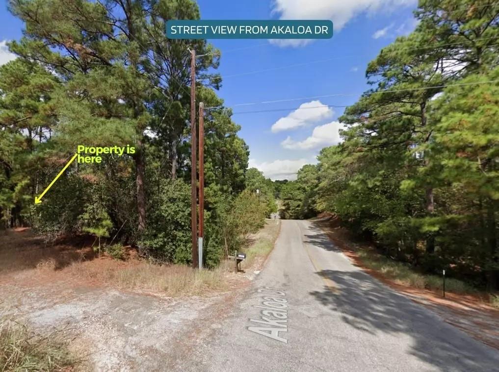 0 Okoe Ct Property Photo 3