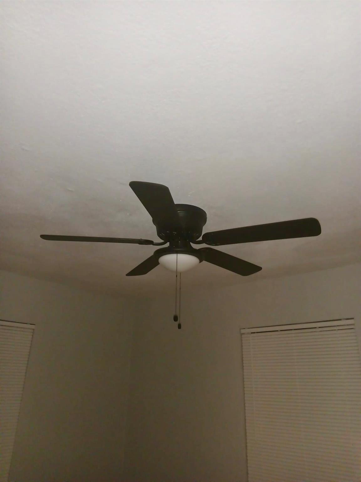206 Hill St Property Photo 15