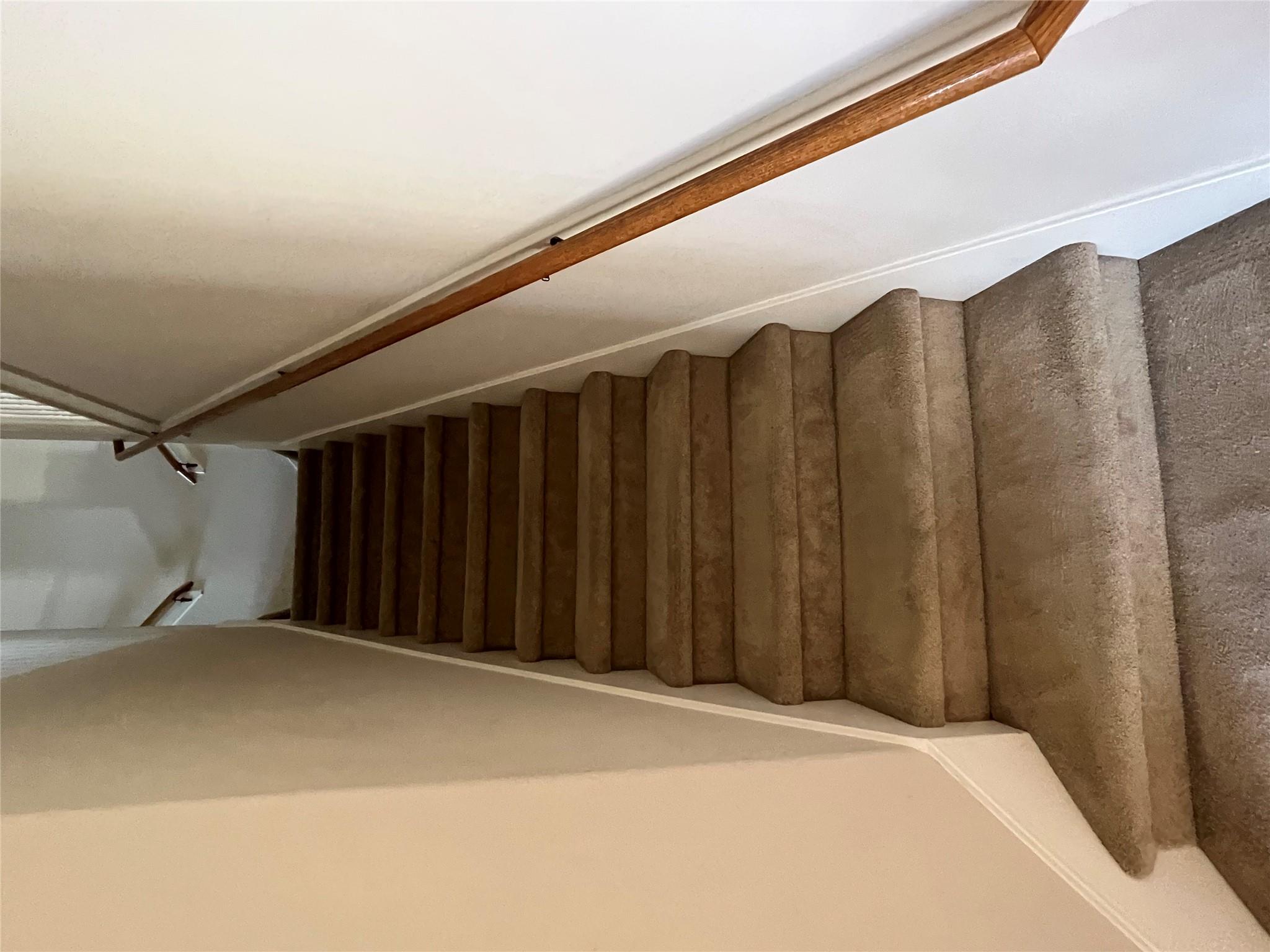 2443 Salorn Way Property Photo 17