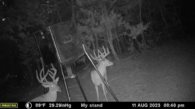 721 Peach Creek Rd Property Photo 39