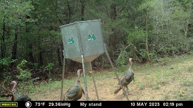 721 Peach Creek Rd Property Photo 40