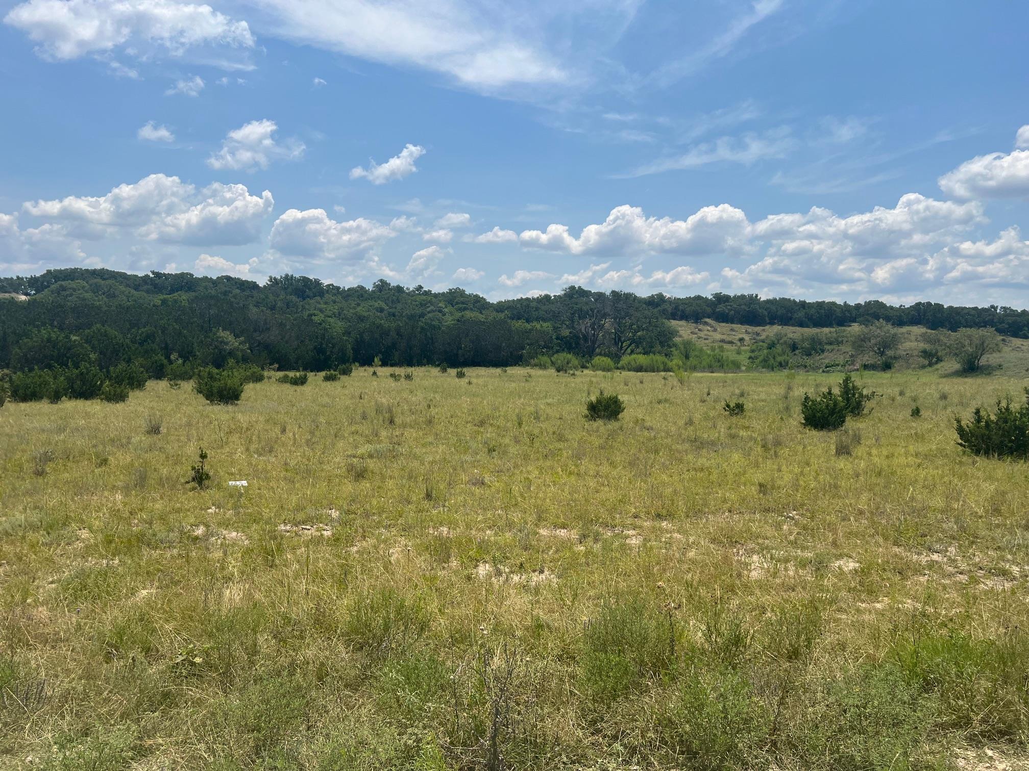 5.04 Acres Mourning Dove Ln Property Photo 1