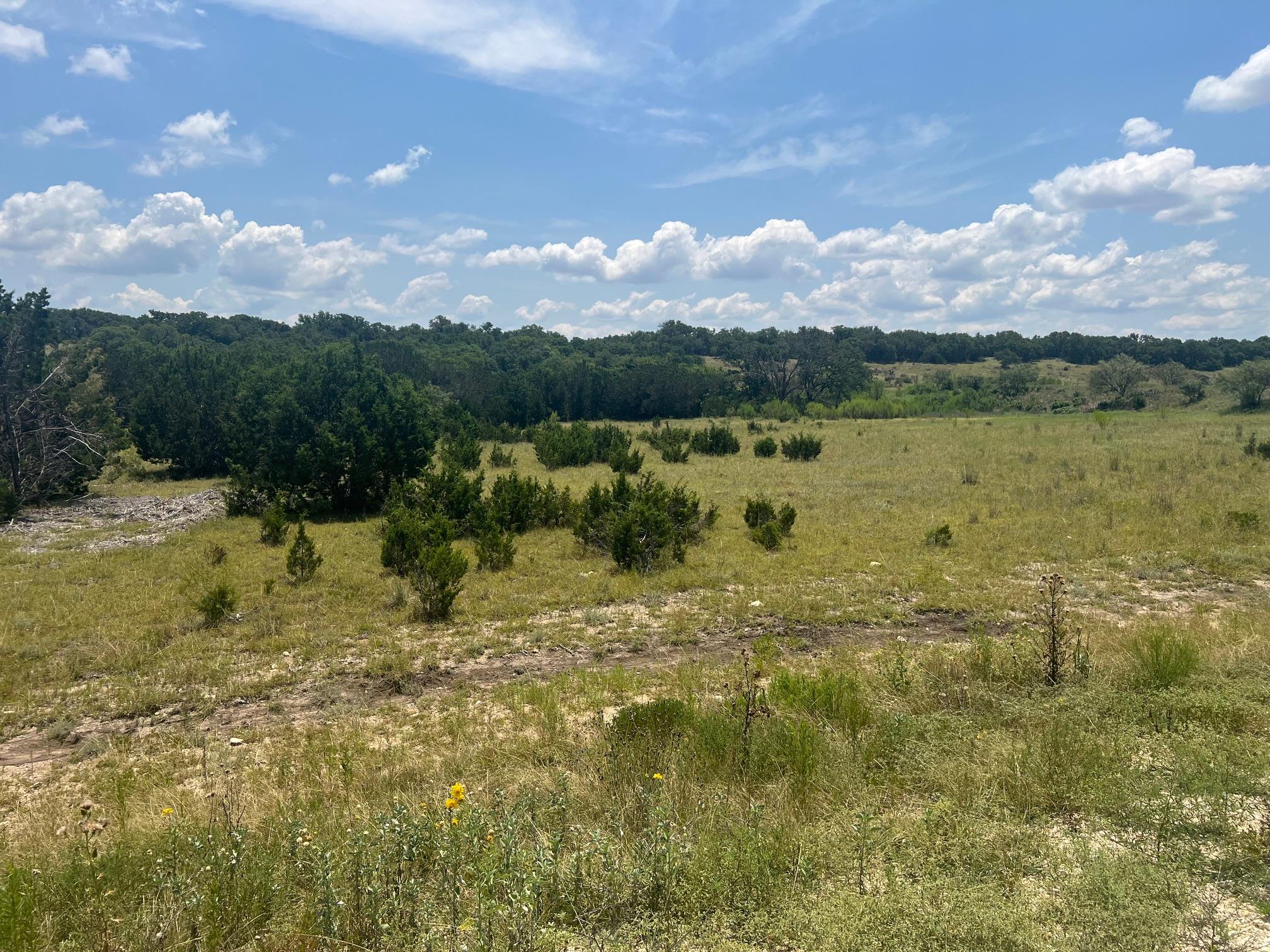 5.04 Acres Mourning Dove Ln Property Photo 2