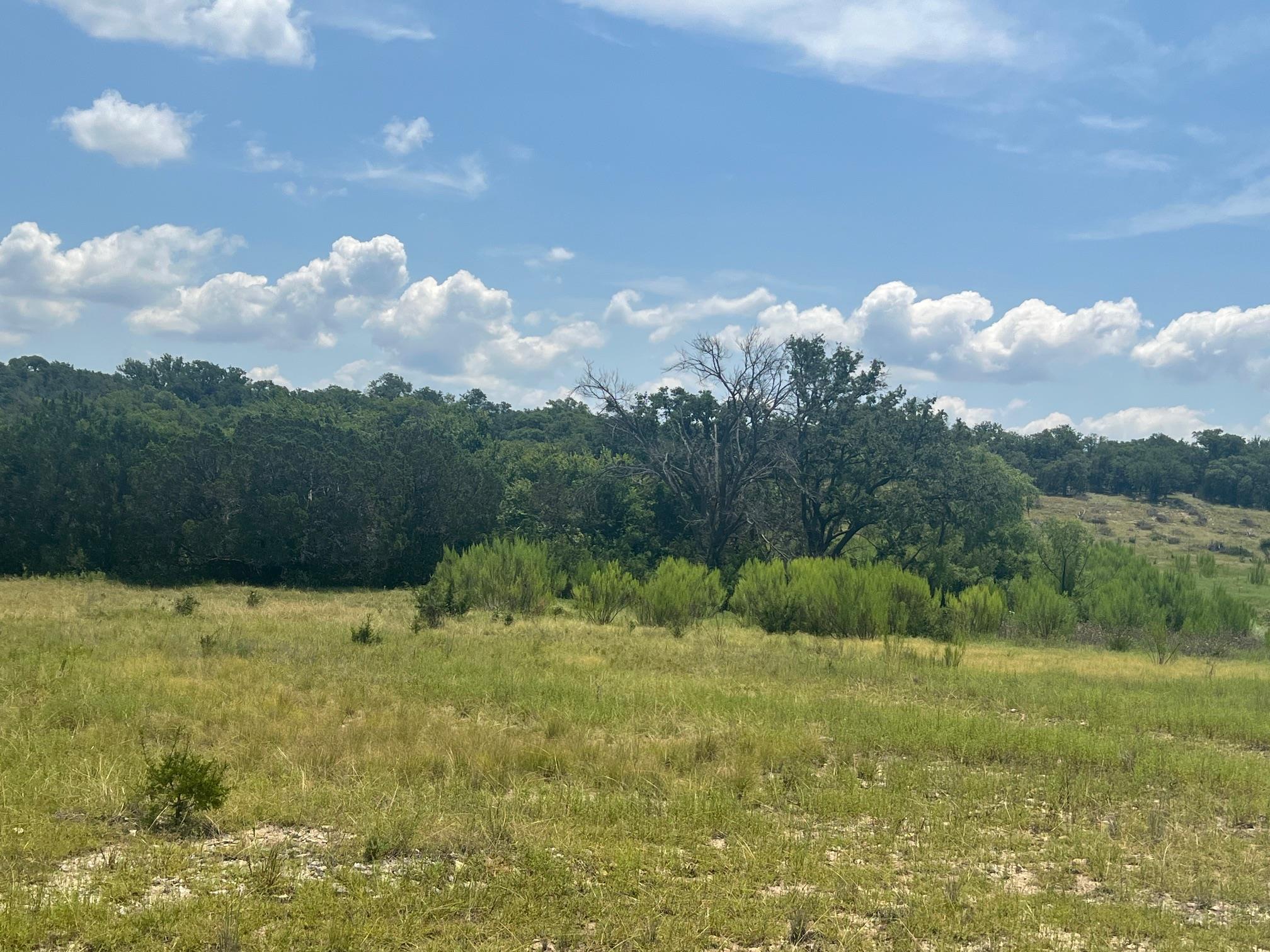 5.04 Acres Mourning Dove Ln Property Photo 4