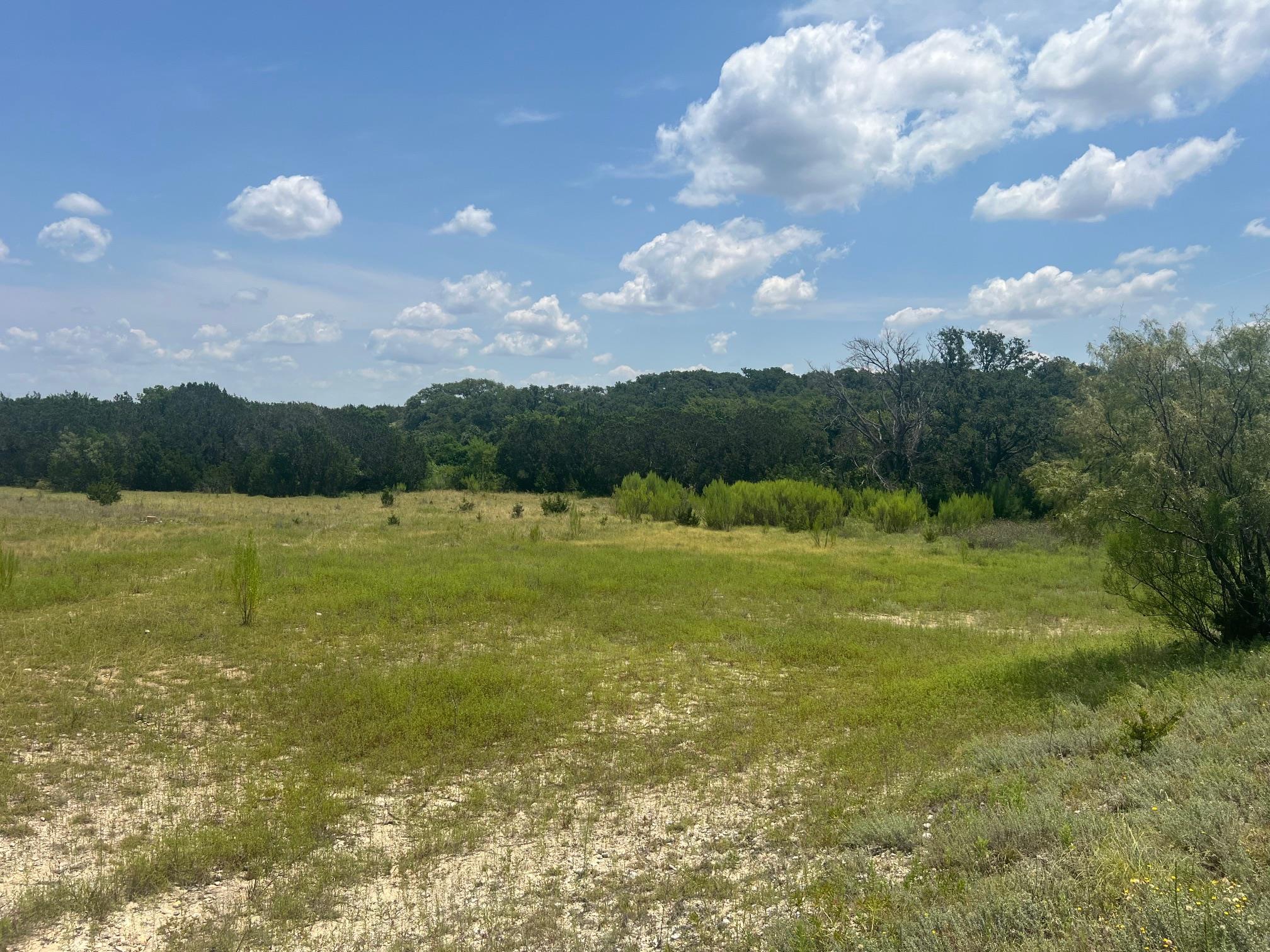 5.04 Acres Mourning Dove Ln Property Photo 8