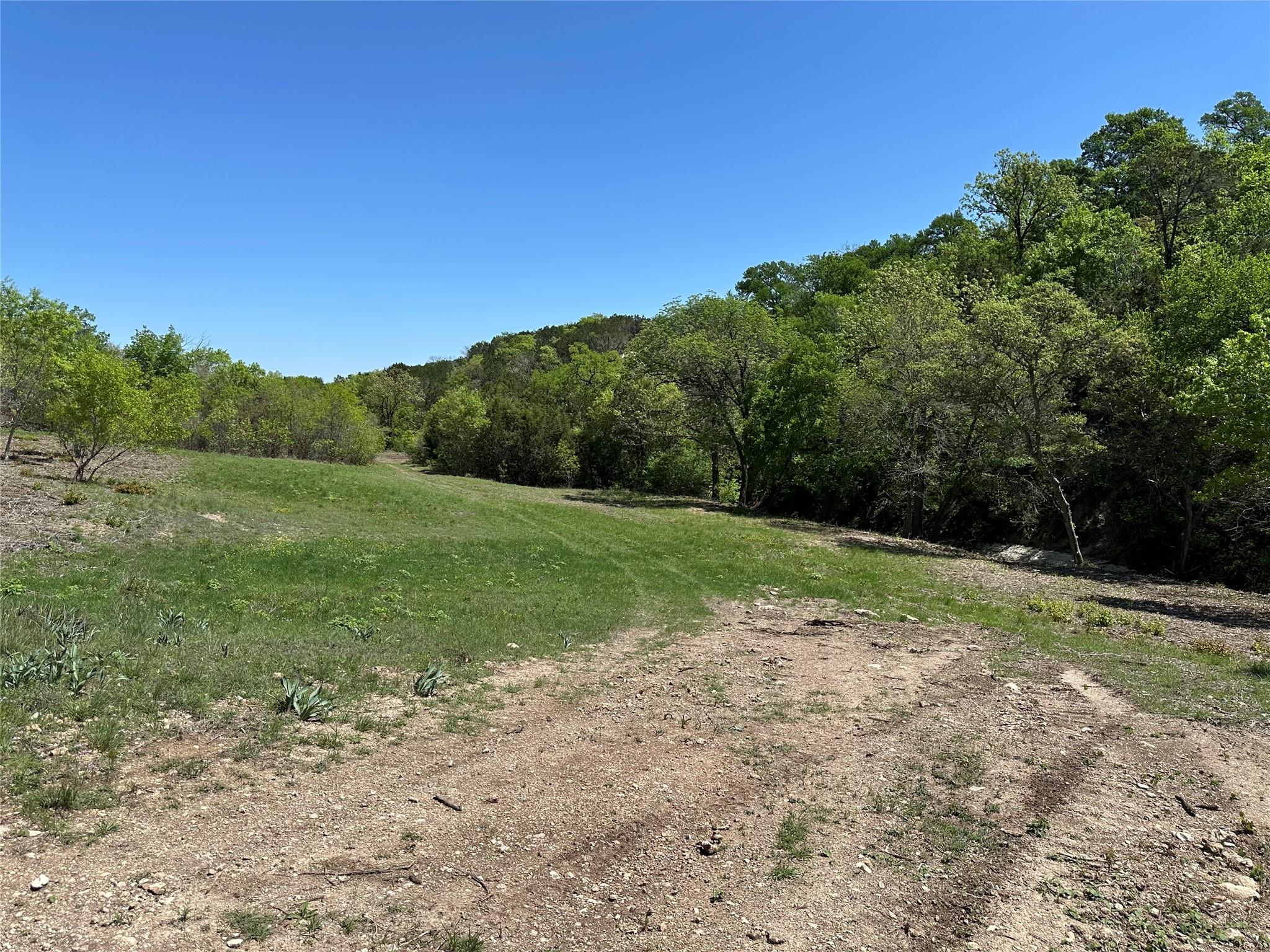 Tbd Tract 2 Sh-236 Property Photo 5