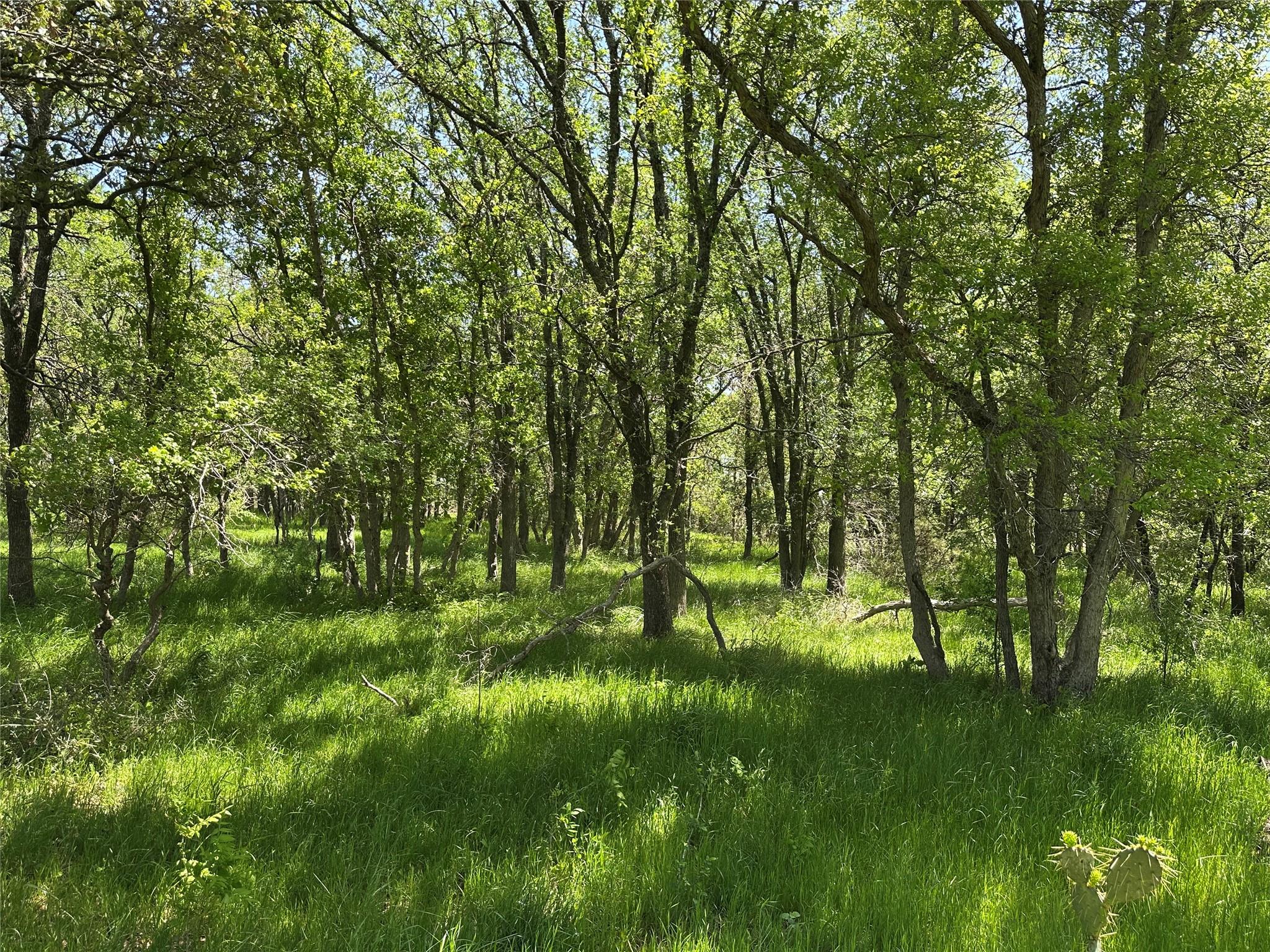 Tbd Tract 2 Sh-236 Property Photo 6