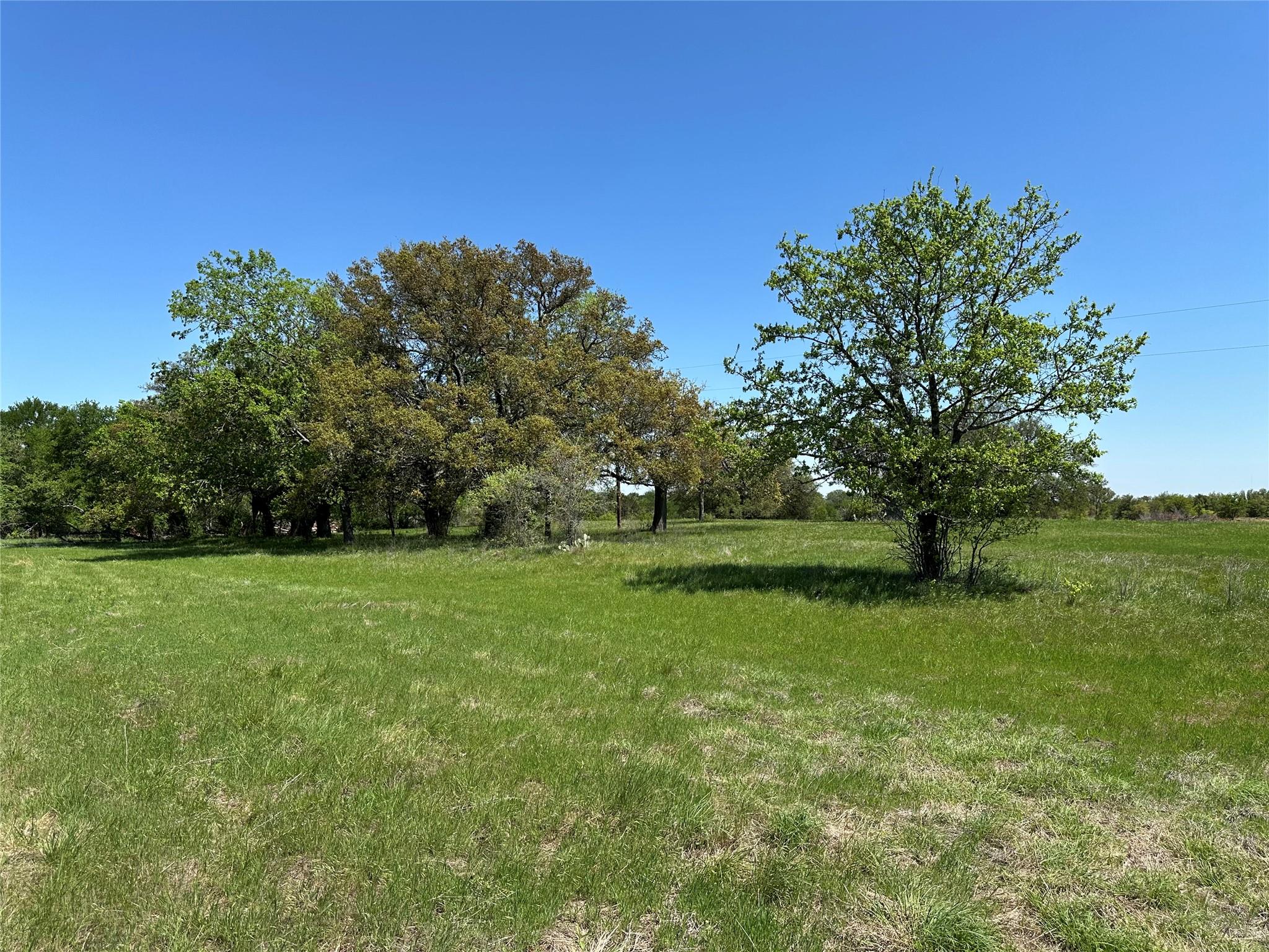 Tbd Tract 2 Sh-236 Property Photo 11