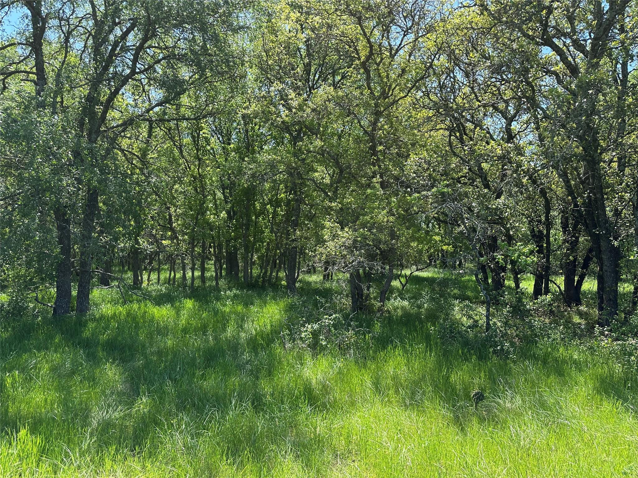 Tbd Tract 2 Sh-236 Property Photo 14