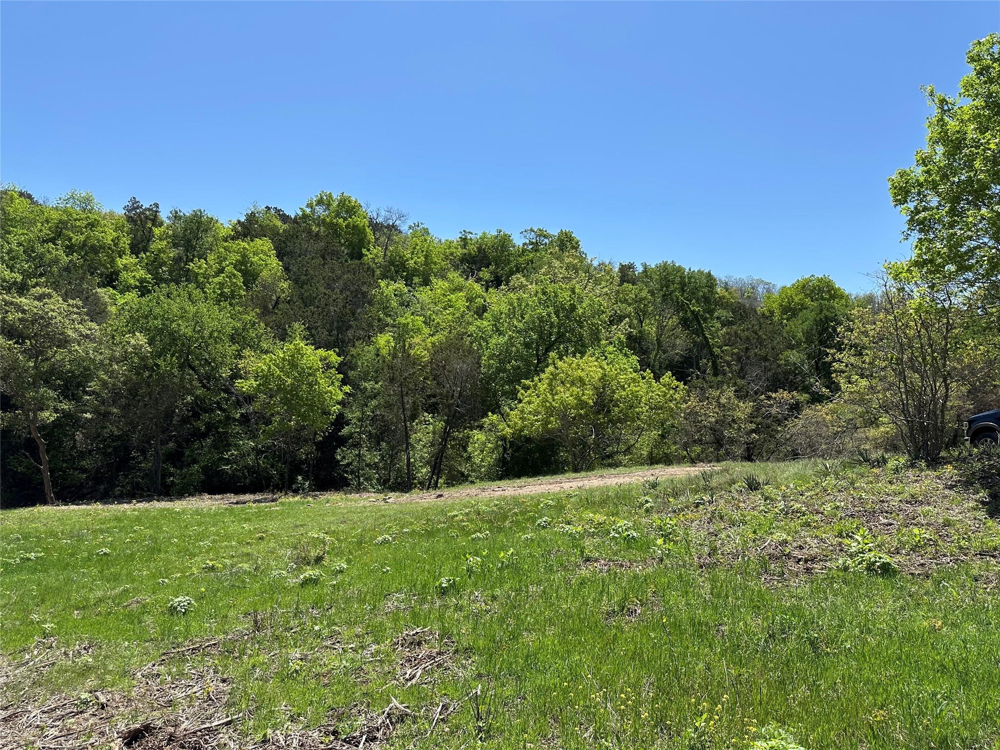 Tbd Tract 2 Sh-236 Property Photo 16