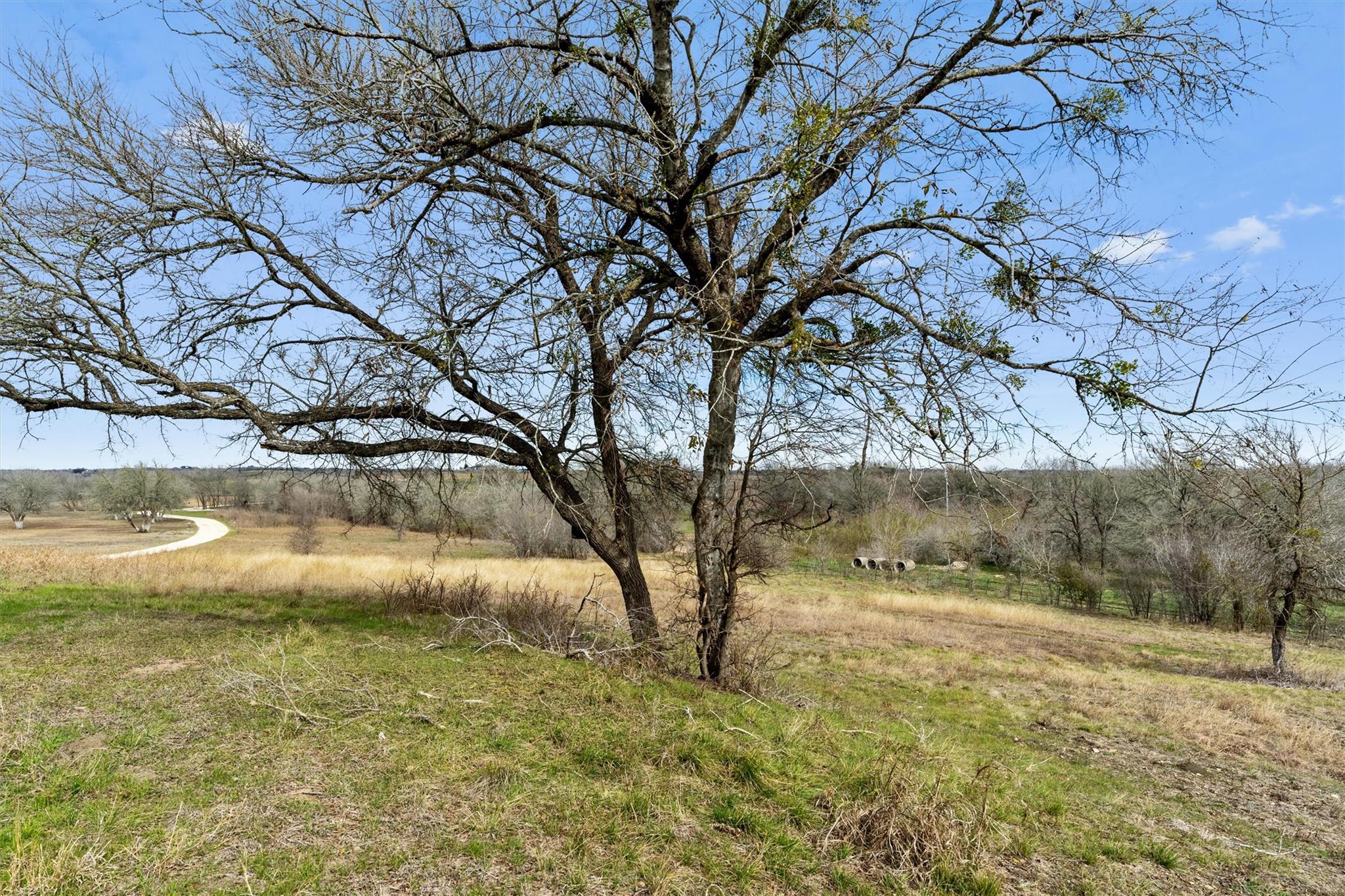 00 Rolling Ridge Rd Property Photo 36