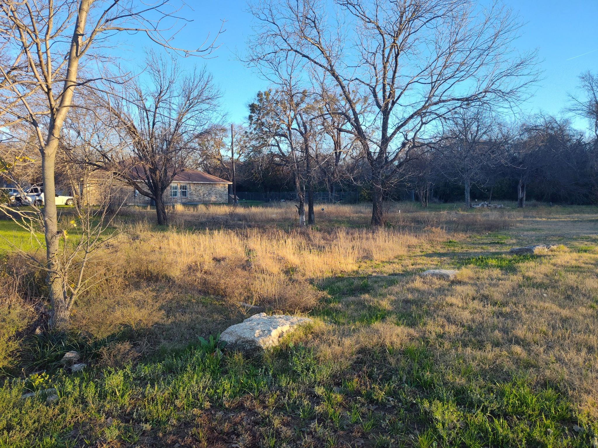 7317 Comanche Trl Property Photo 3