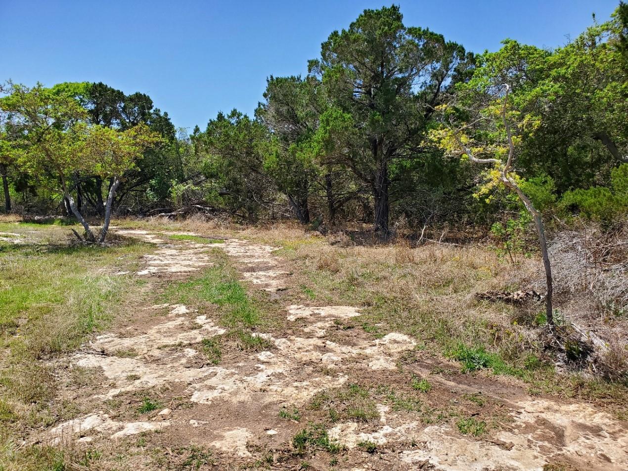 16353 Charlya Dr Property Photo 3