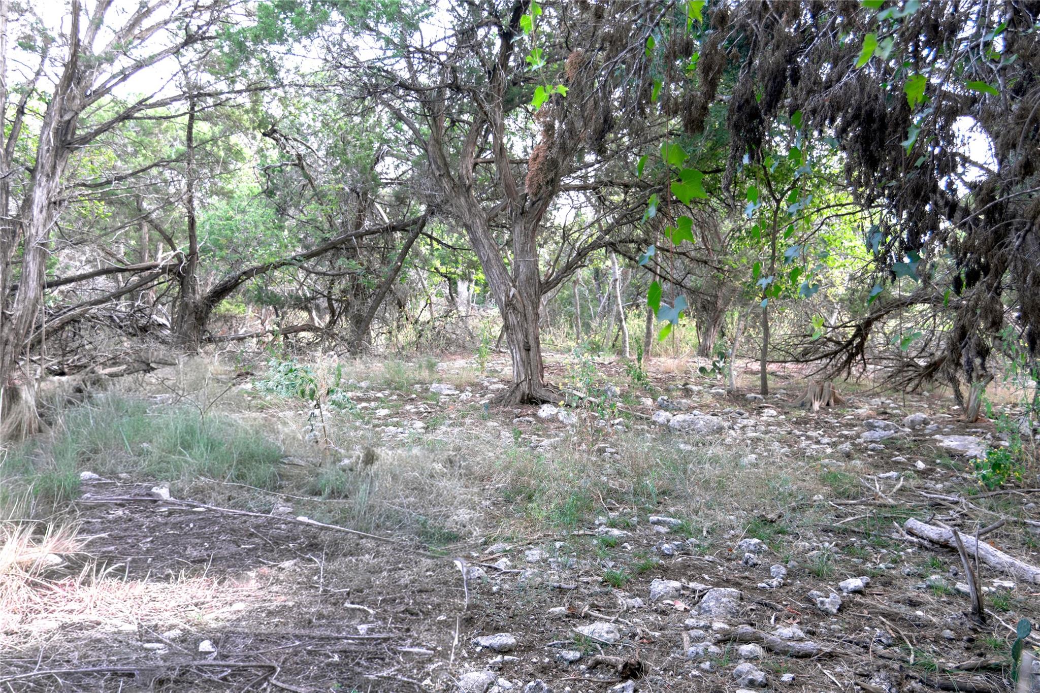 16353 Charlya Dr Property Photo 4