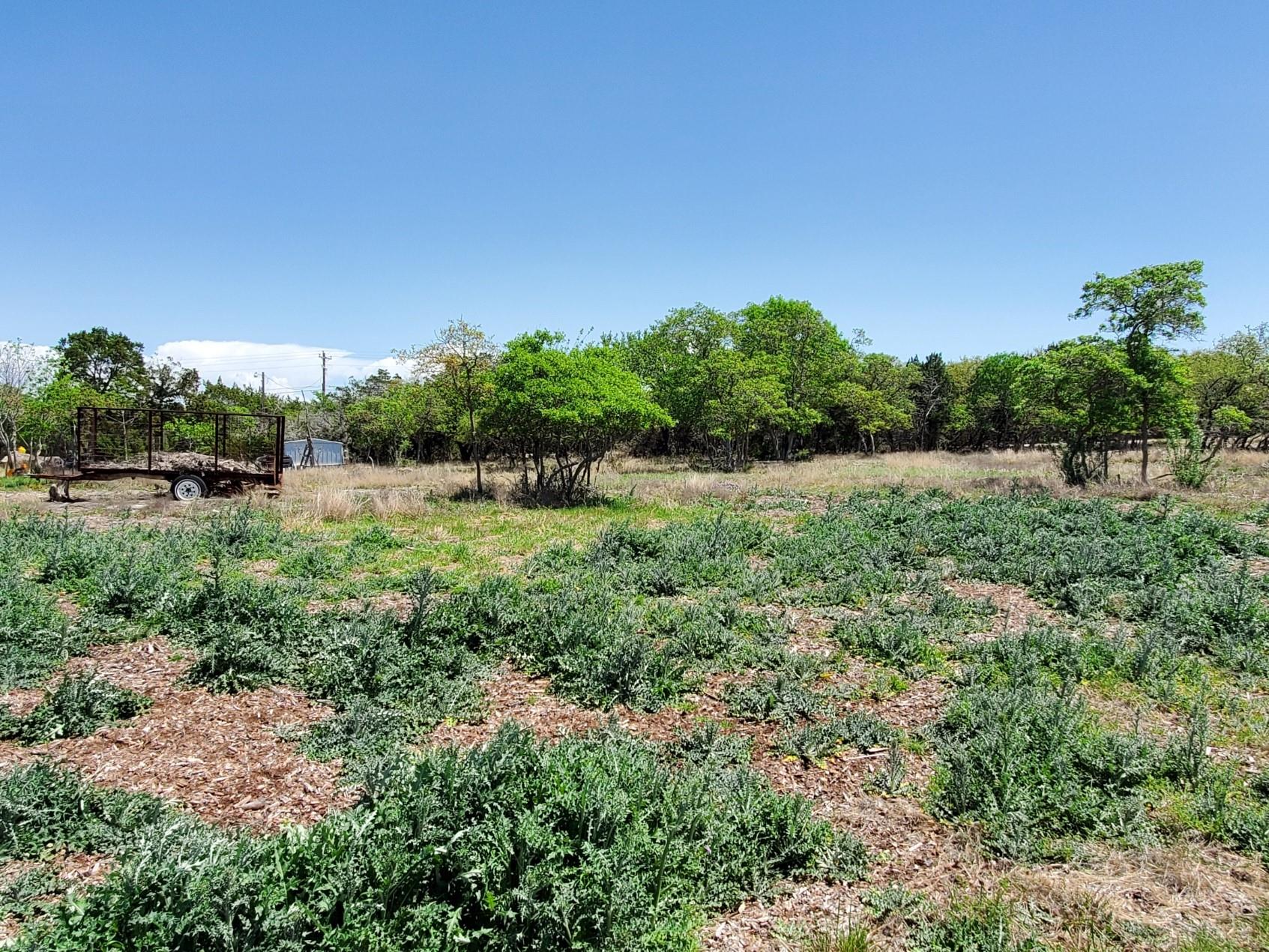 16353 Charlya Dr Property Photo 10