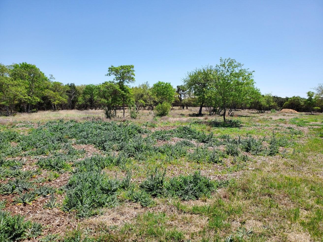 16353 Charlya Dr Property Photo 12