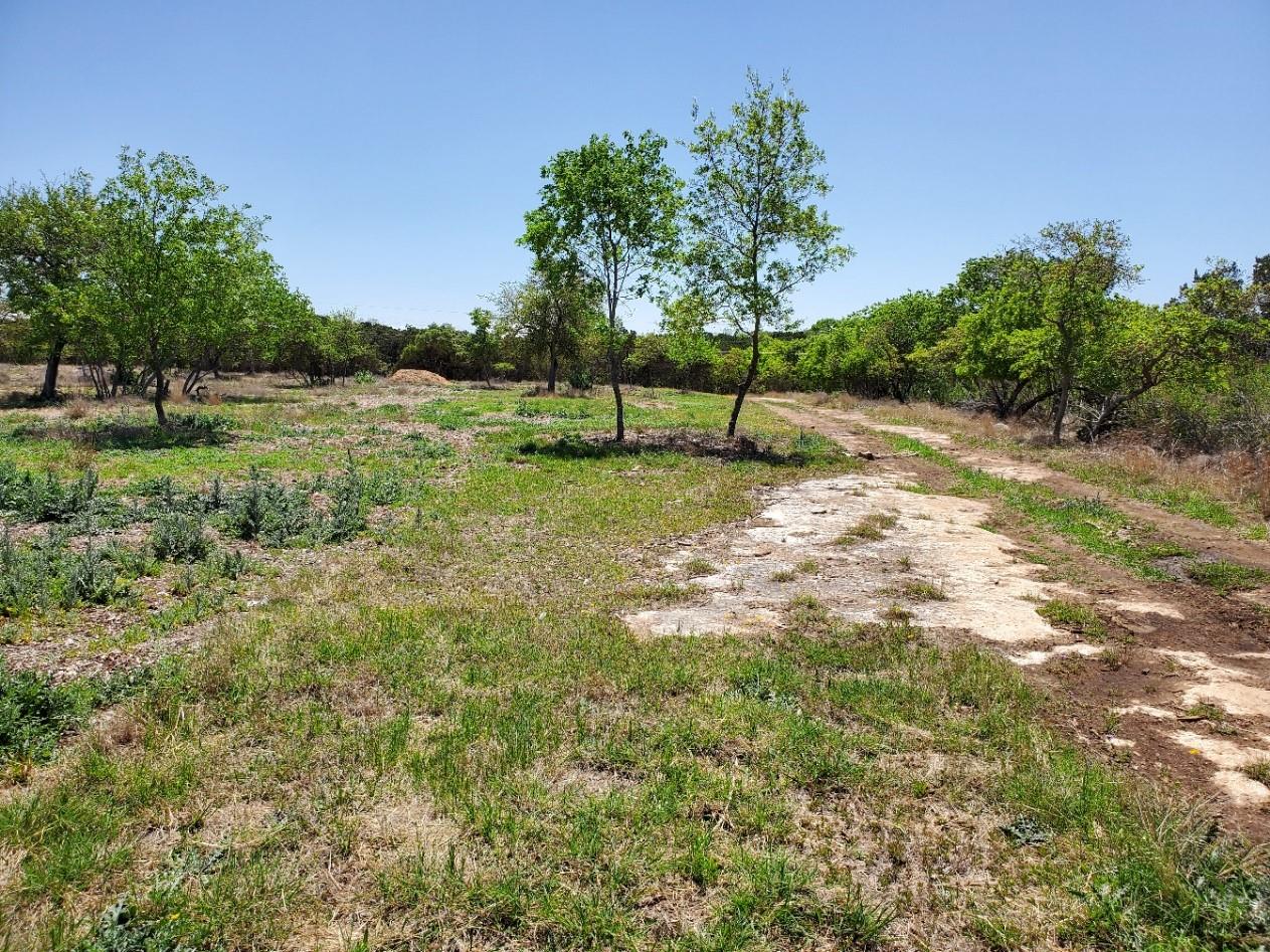 16353 Charlya Dr Property Photo 13