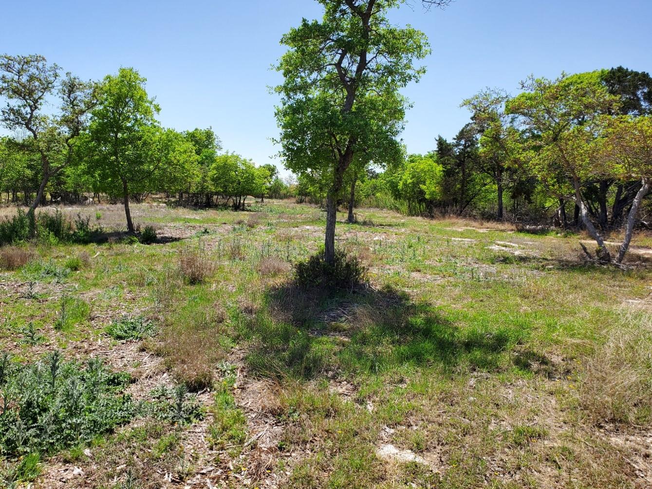 16353 Charlya Dr Property Photo 15