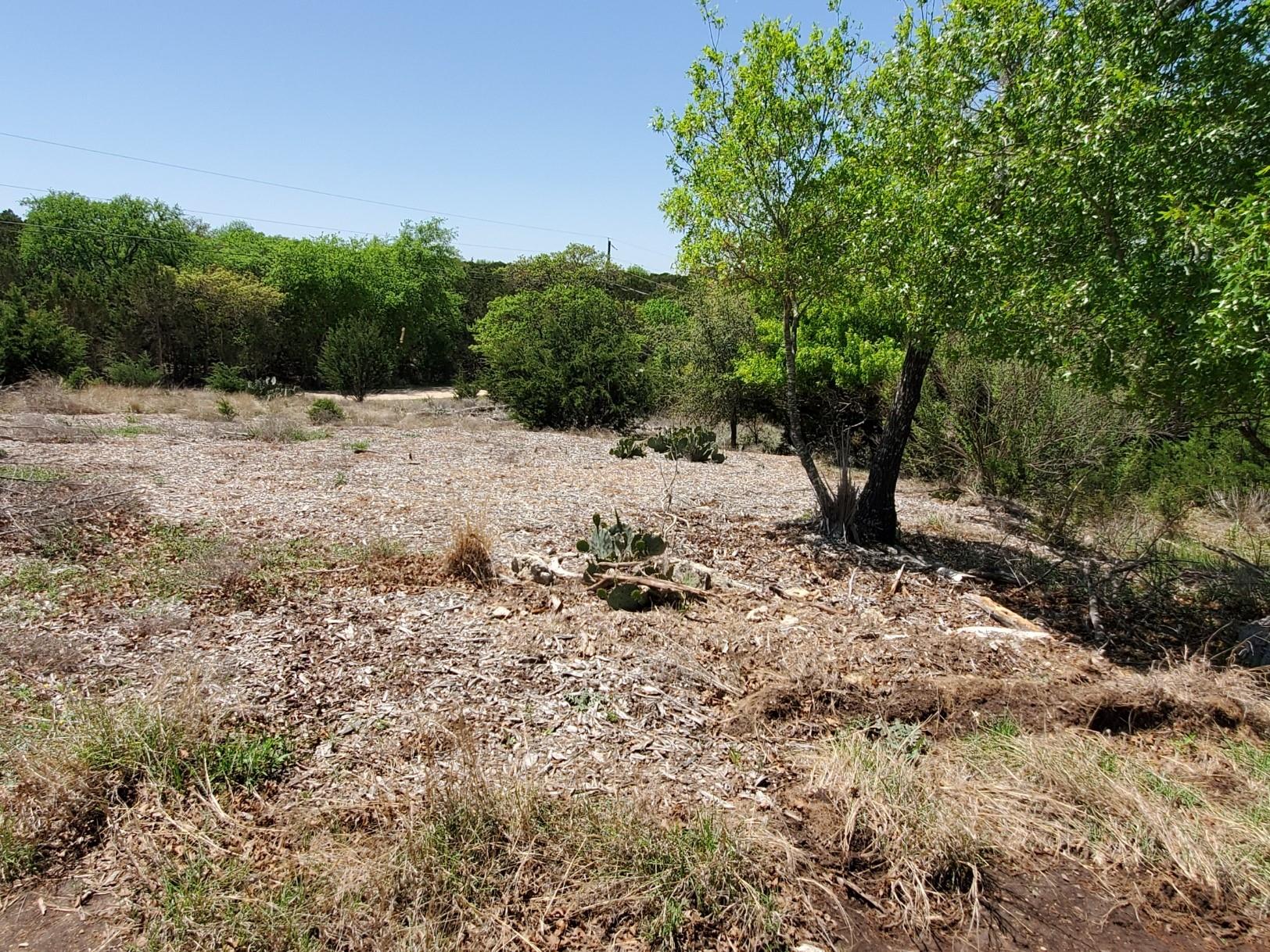 16353 Charlya Dr Property Photo 18