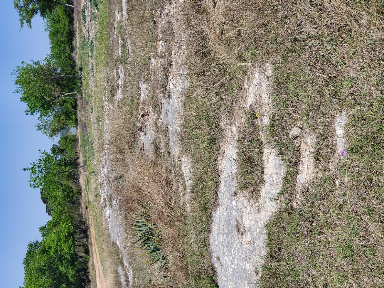 16353 Charlya Dr Property Photo 22