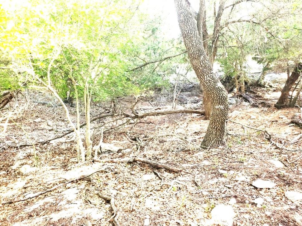 16353 Charlya Dr Property Photo 22