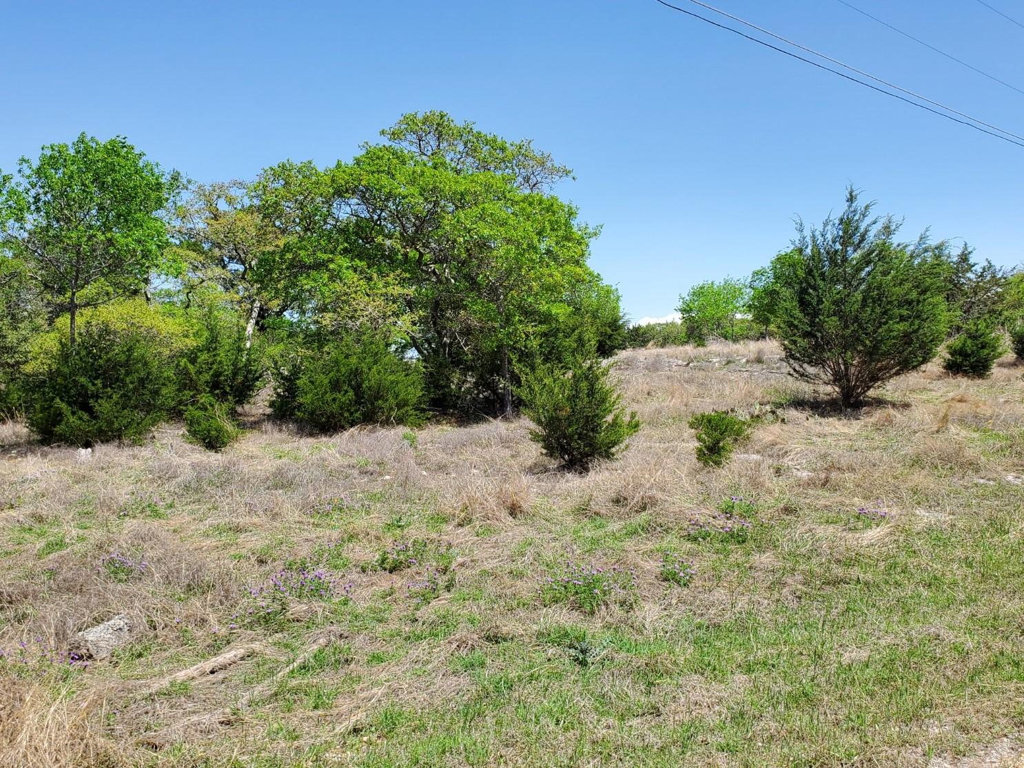 16353 Charlya Dr Property Photo 28