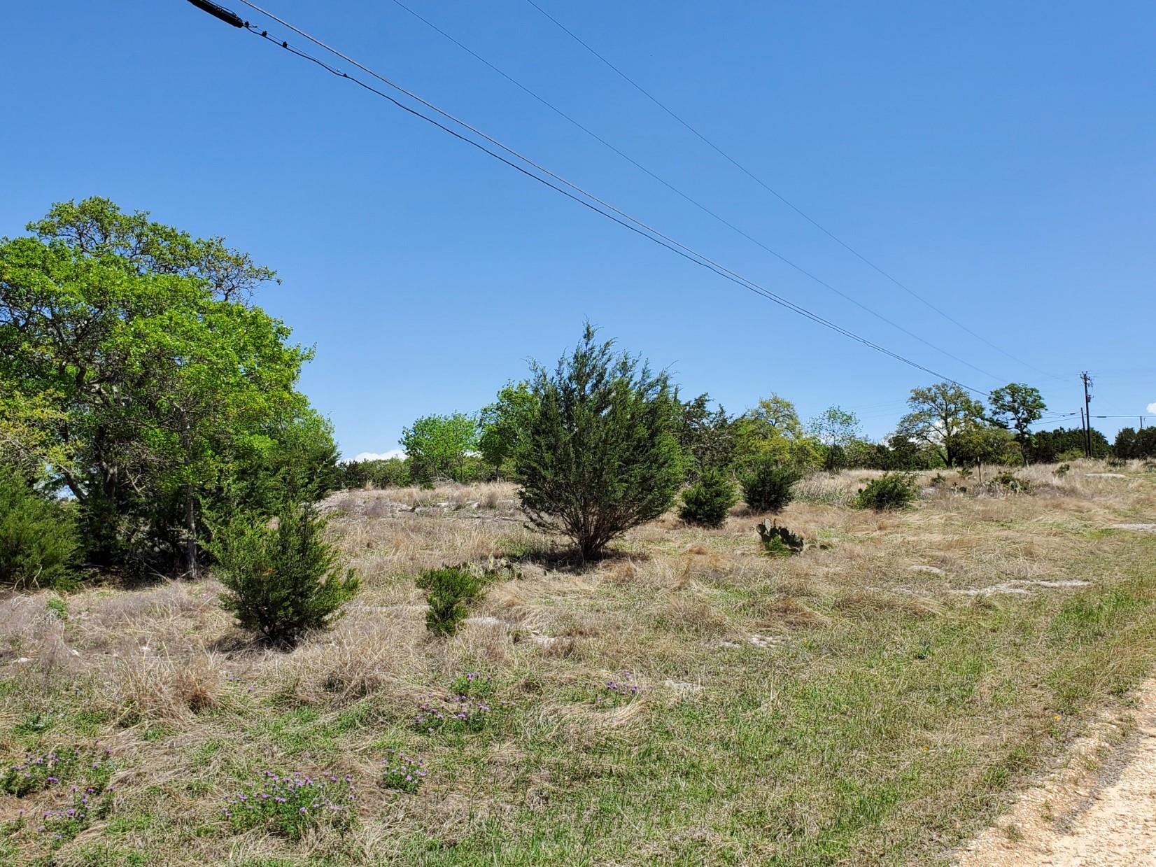 16353 Charlya Dr Property Photo 29