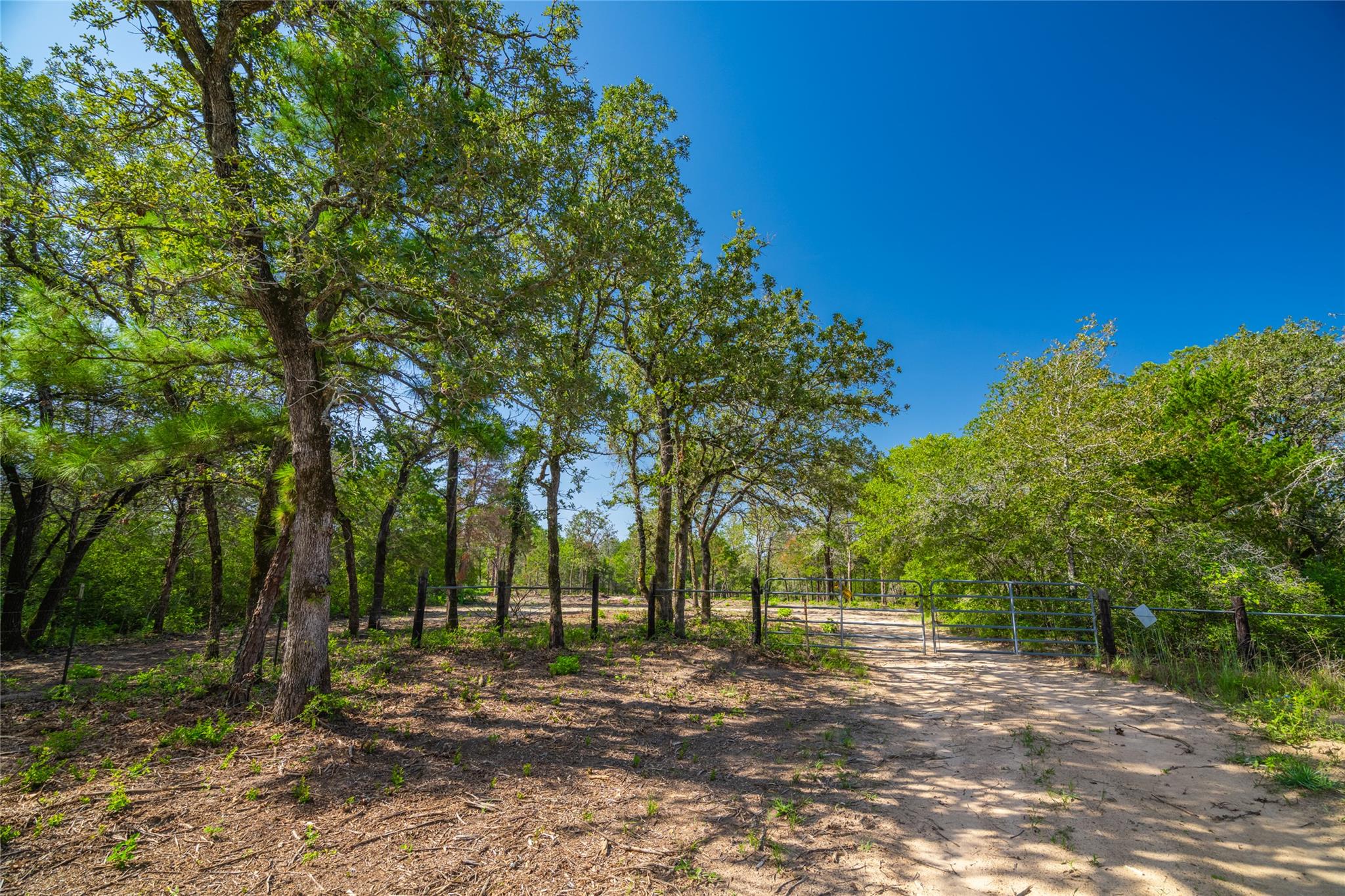 1247 Sand Hills Road None Property Photo 1