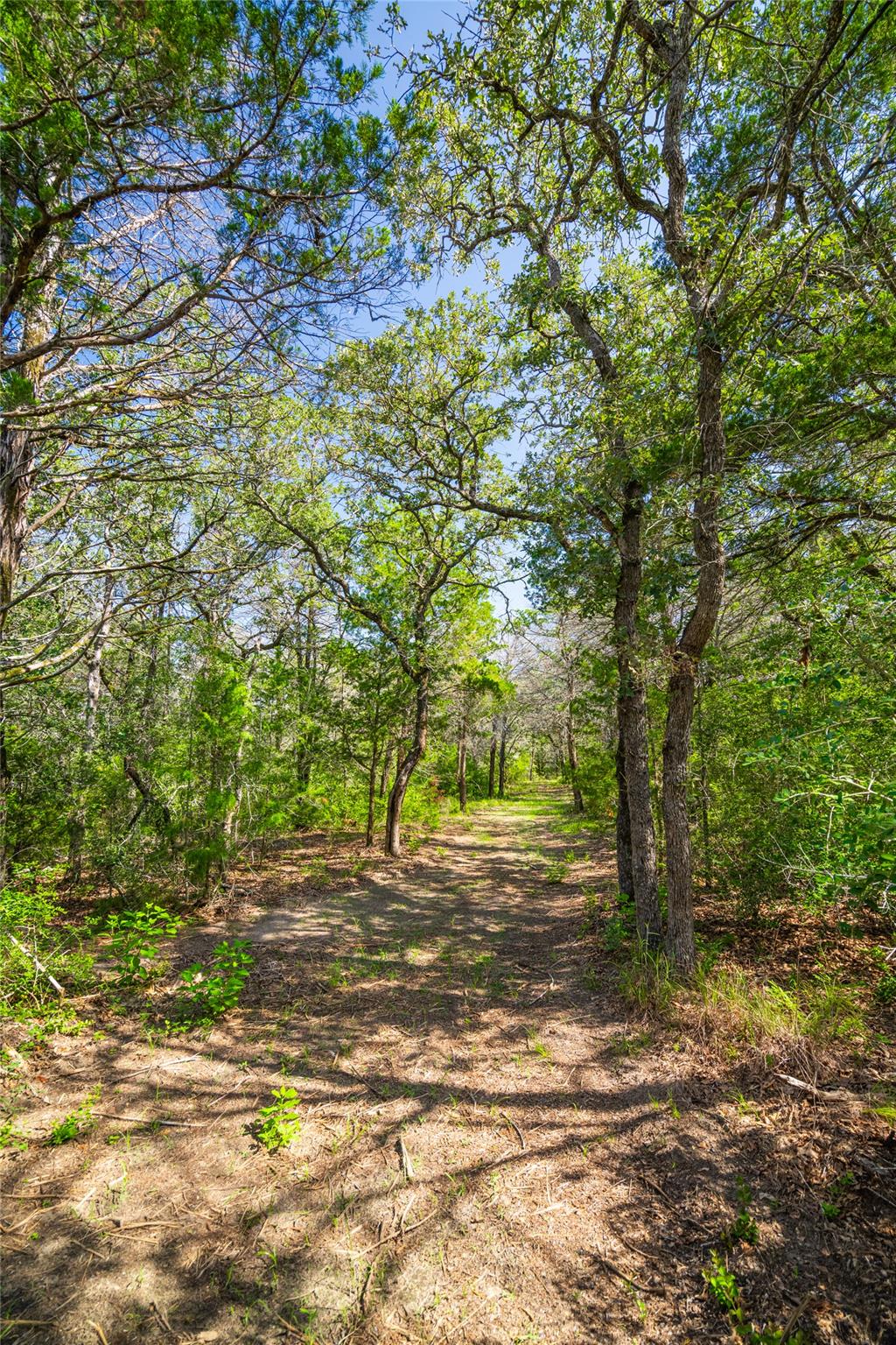 1247 Sand Hills Road None Property Photo 3