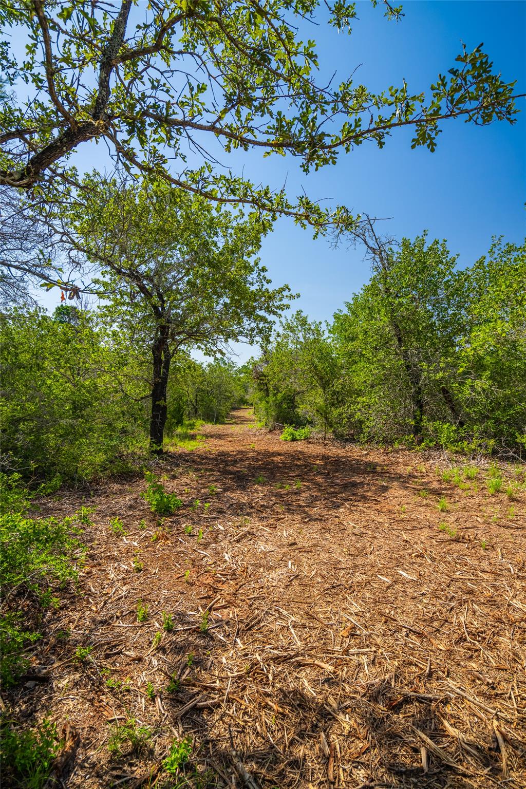 1247 Sand Hills Road None Property Photo 4