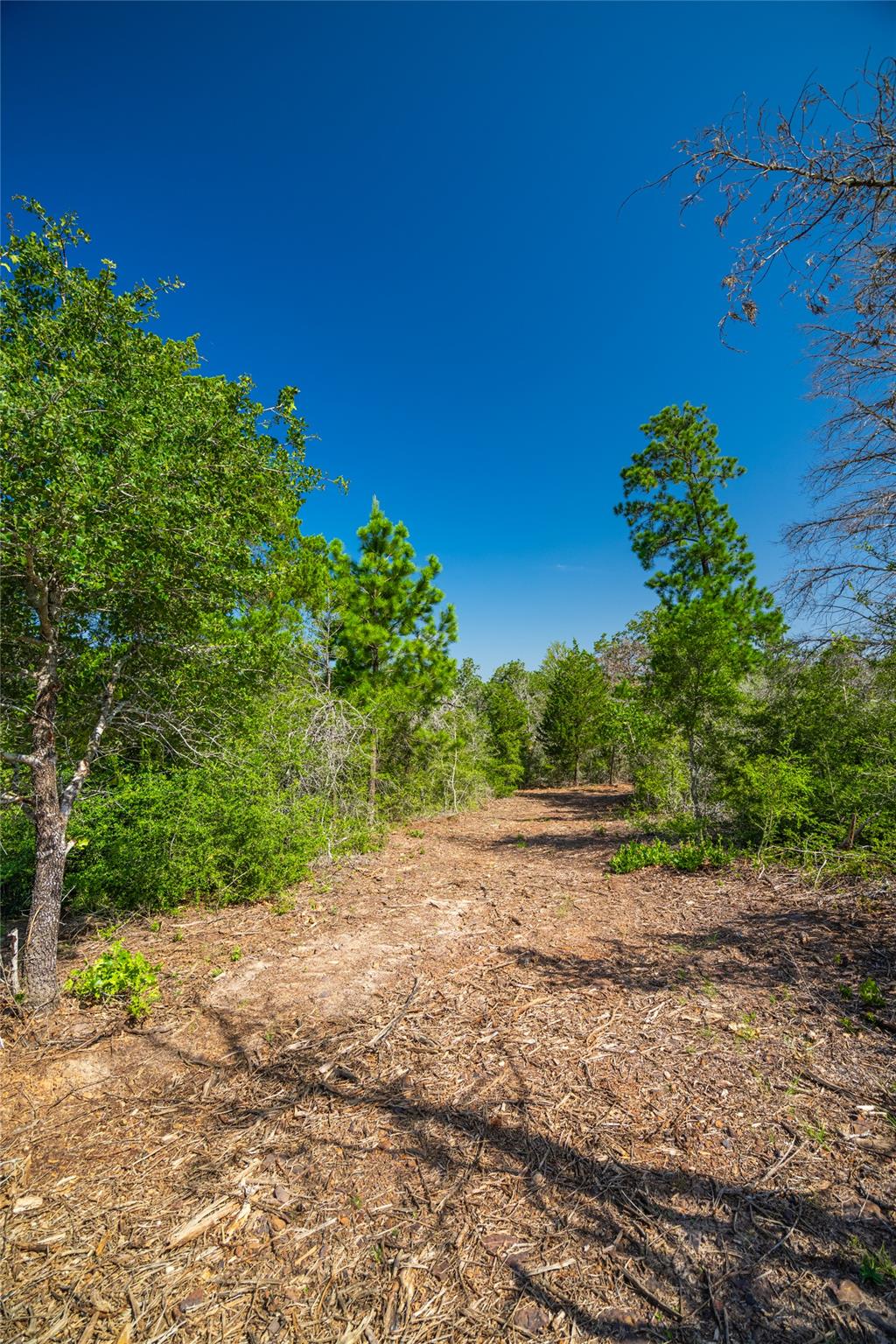 1247 Sand Hills Road None Property Photo 13