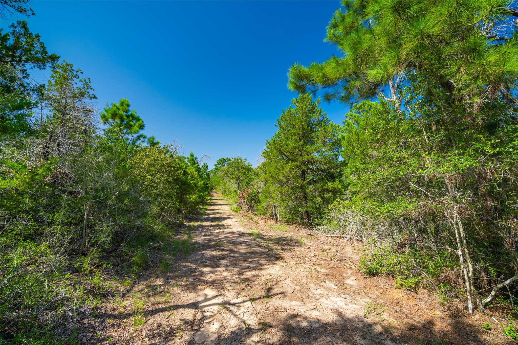 1247 Sand Hills Road None Property Photo 14