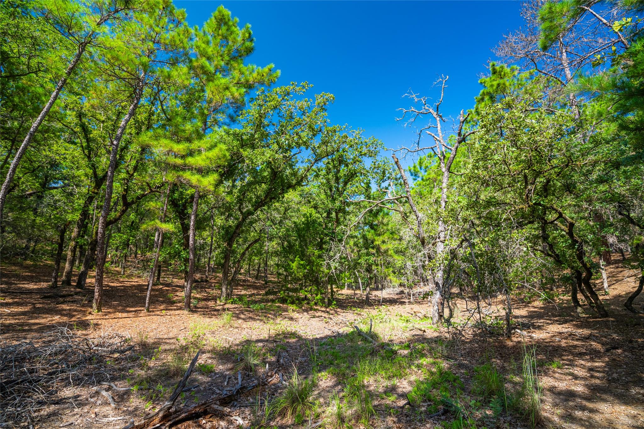 1247 Sand Hills Road None Property Photo 15