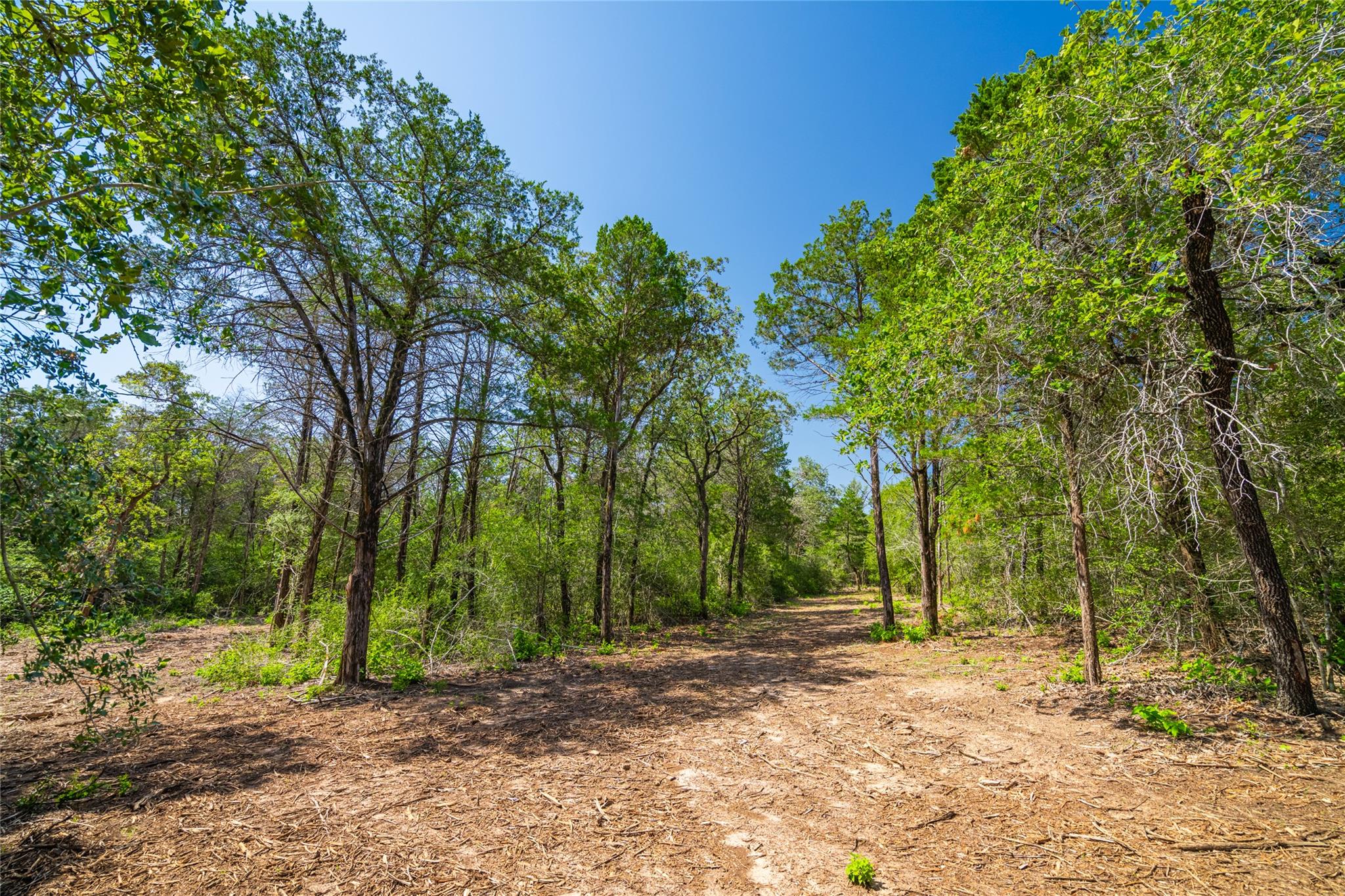 1247 Sand Hills Road None Property Photo 17