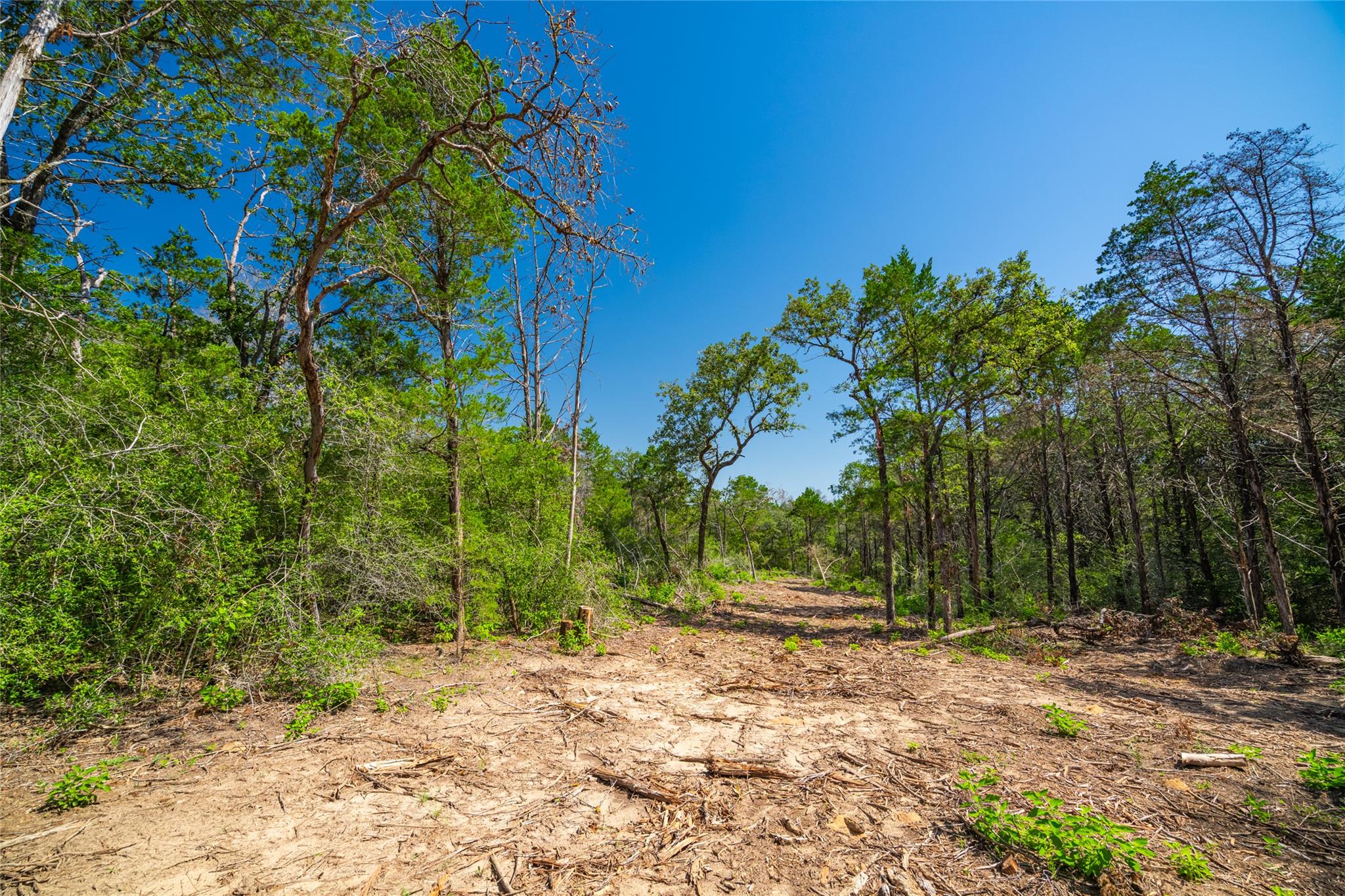 1247 Sand Hills Road None Property Photo 18