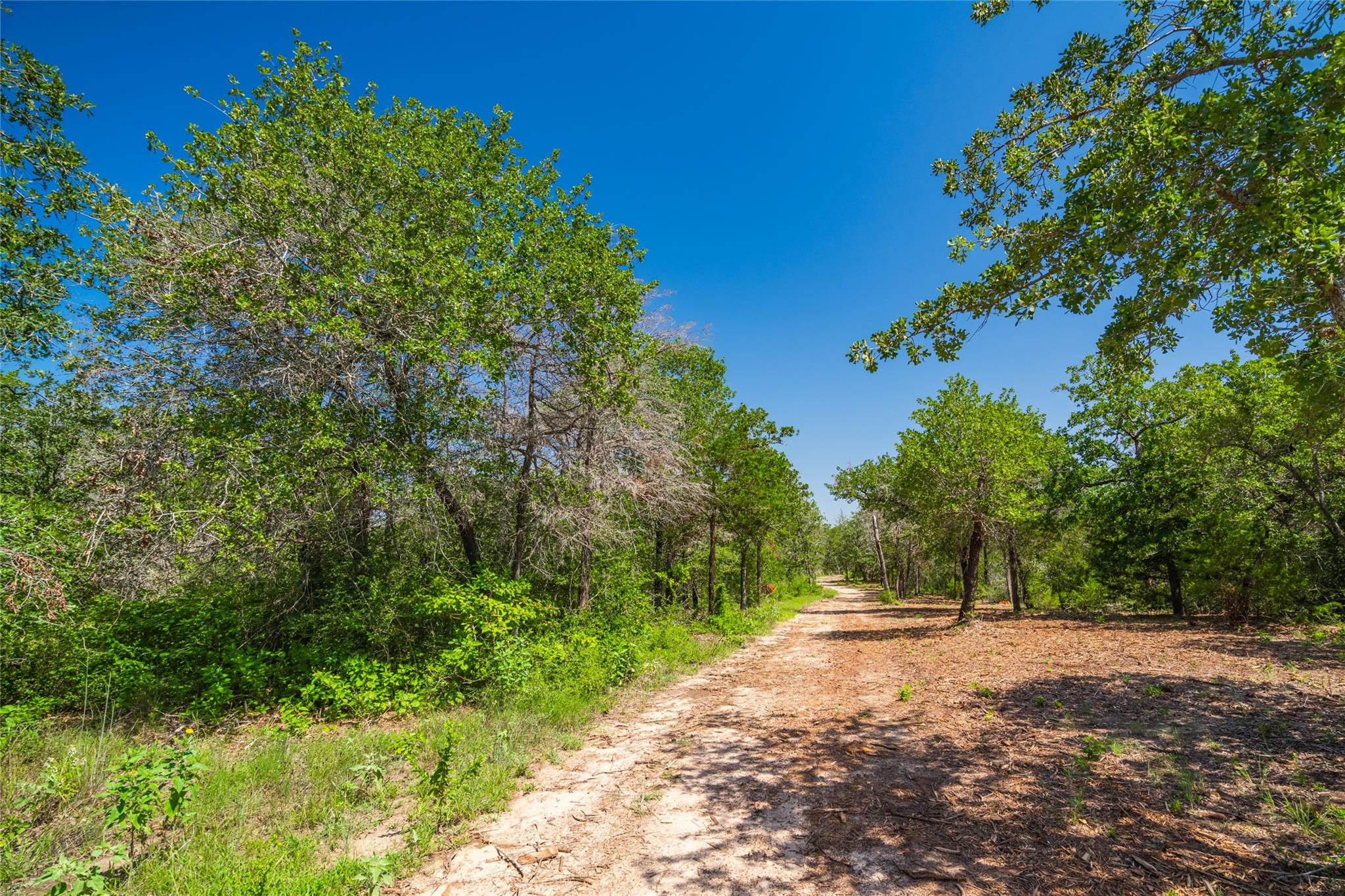 1247 Sand Hills Road None Property Photo 19