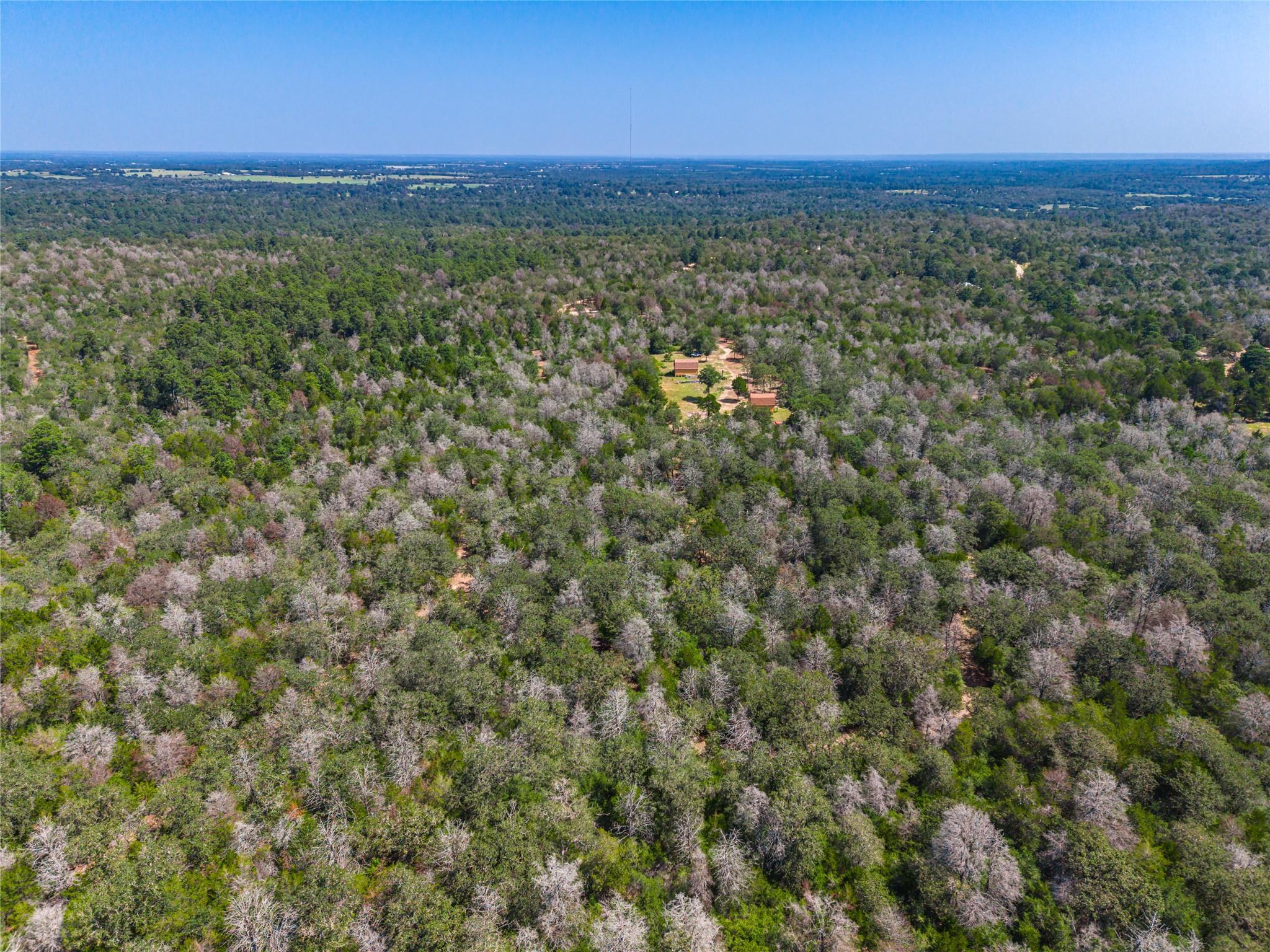 1247 Sand Hills Road None Property Photo 21