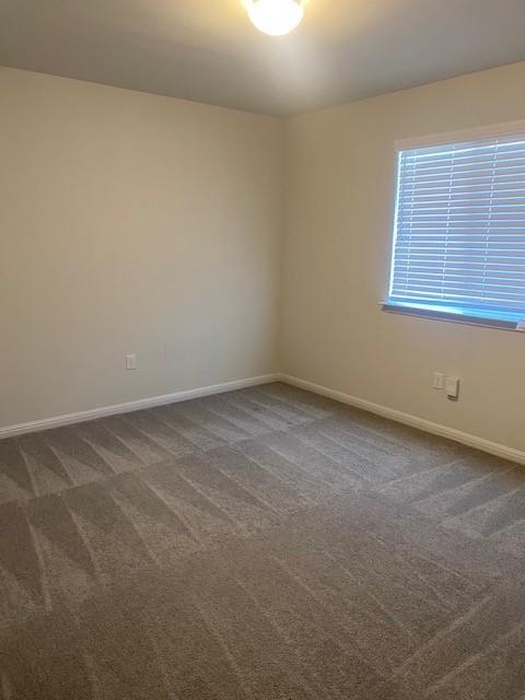 10104 Forest Grove Dr Property Photo 14