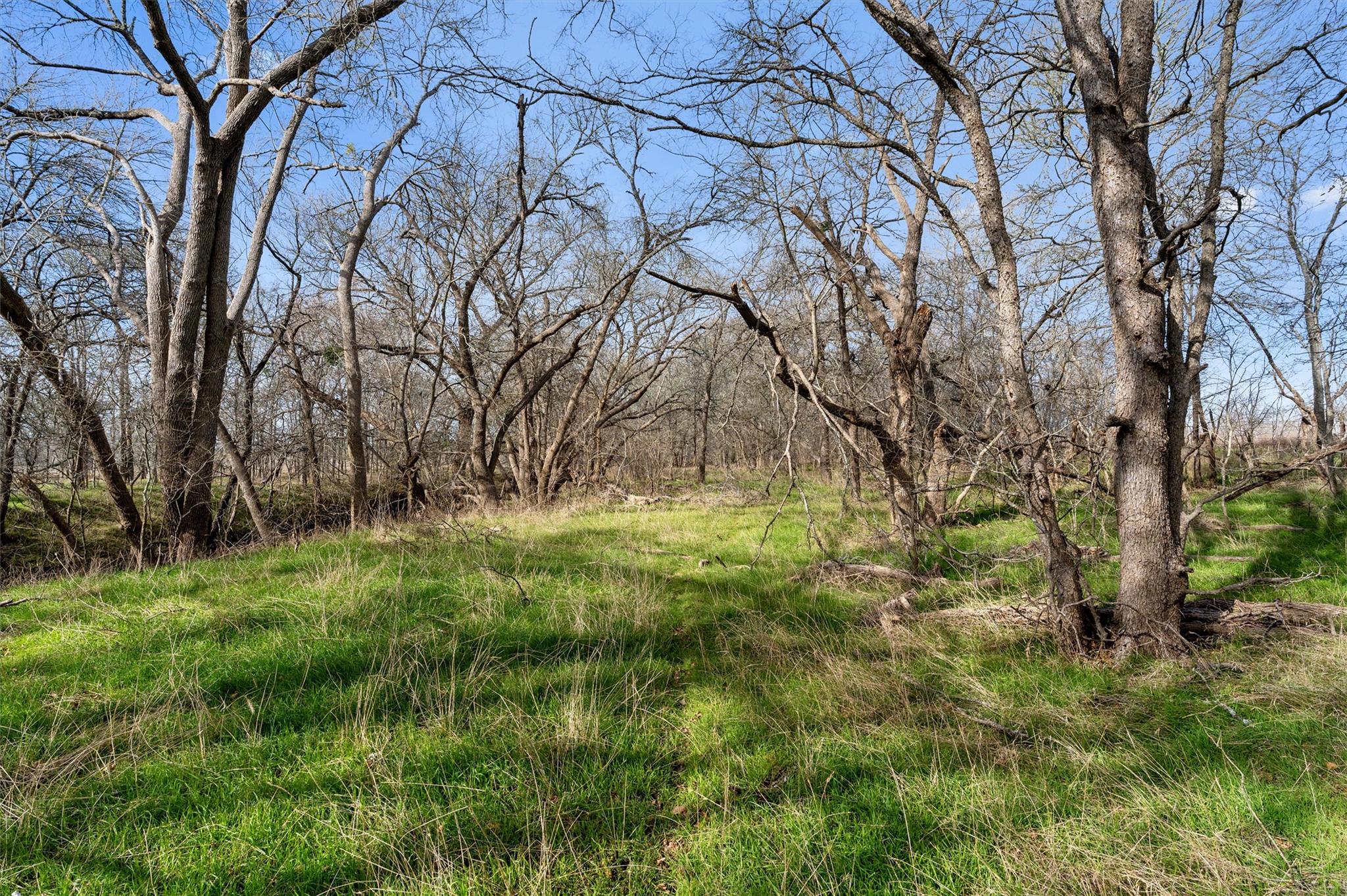 0 Rolling Ridge Rd Property Photo 19