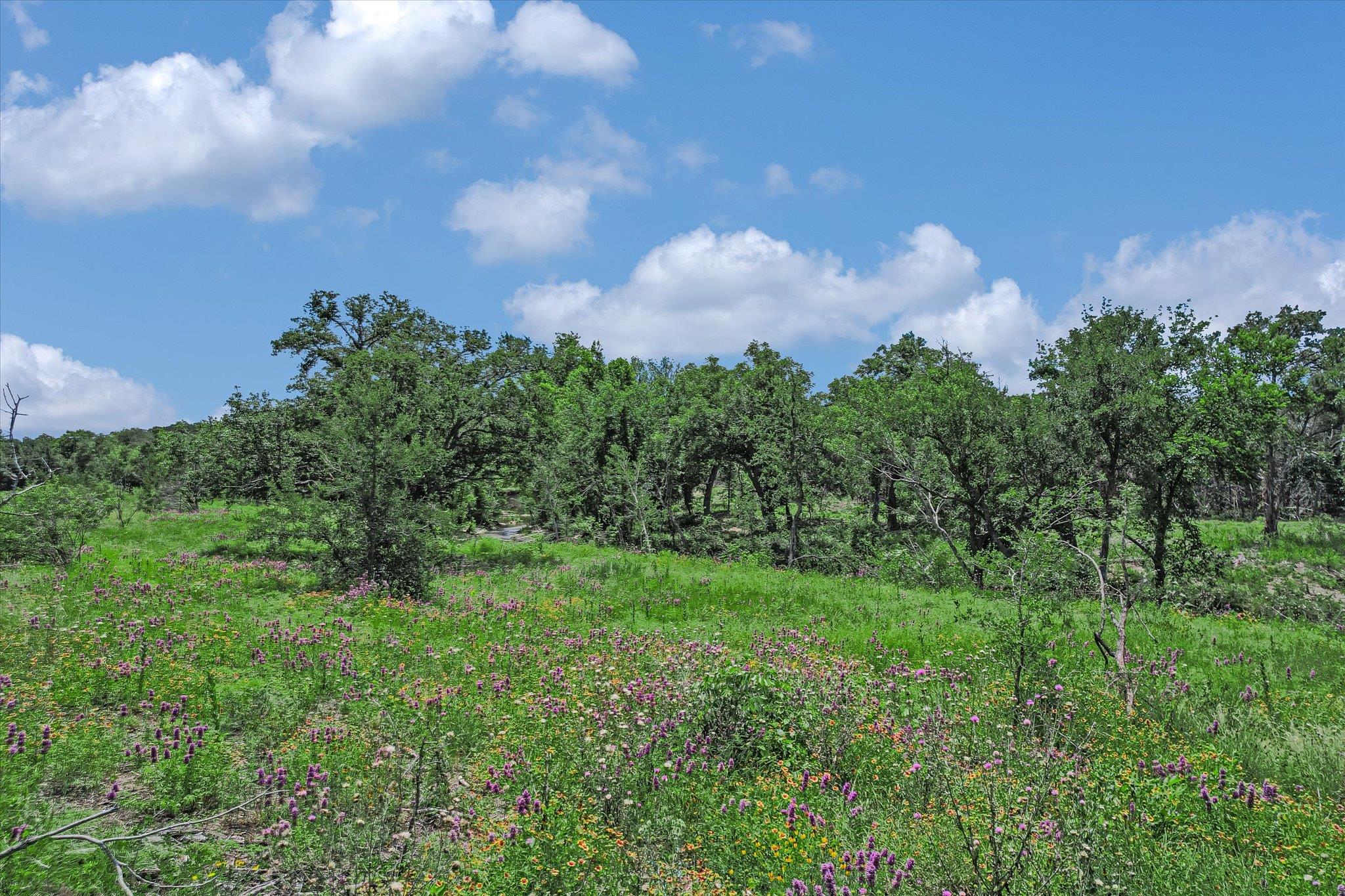5150 Cr 254 None Property Photo 18