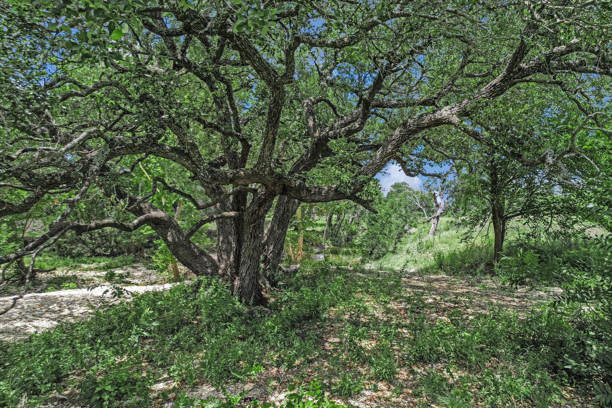 5150 Cr 254 None Property Photo 20