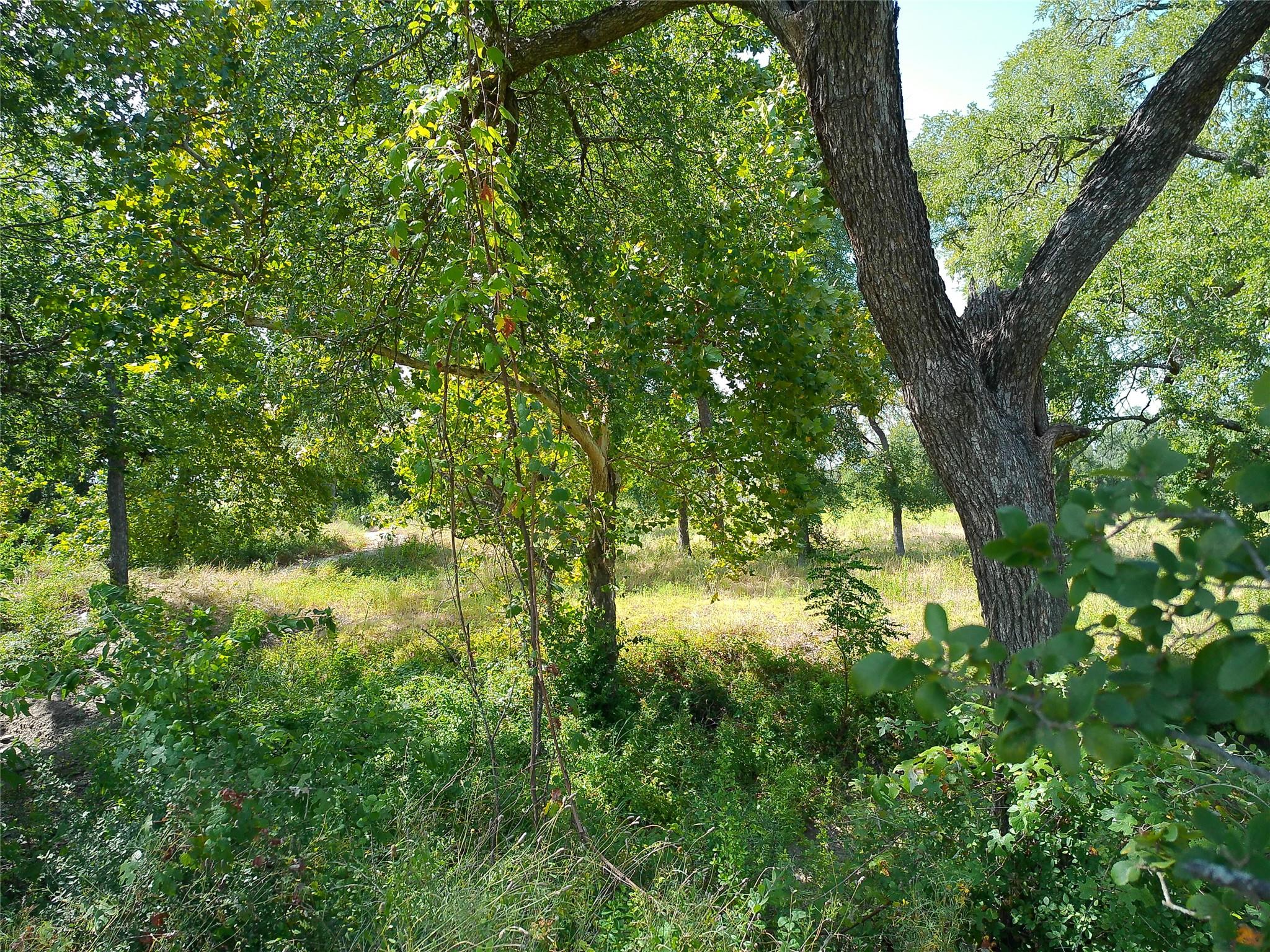 101 Scotty Ln Property Photo 6